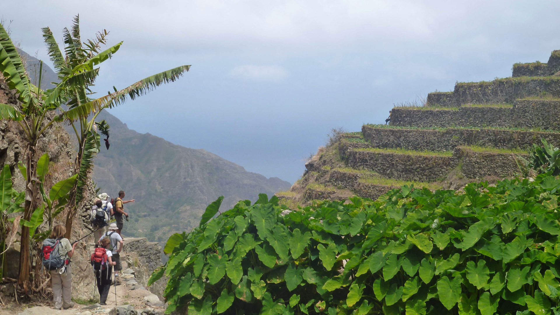 Ambiance tropicale sur Santo Antao