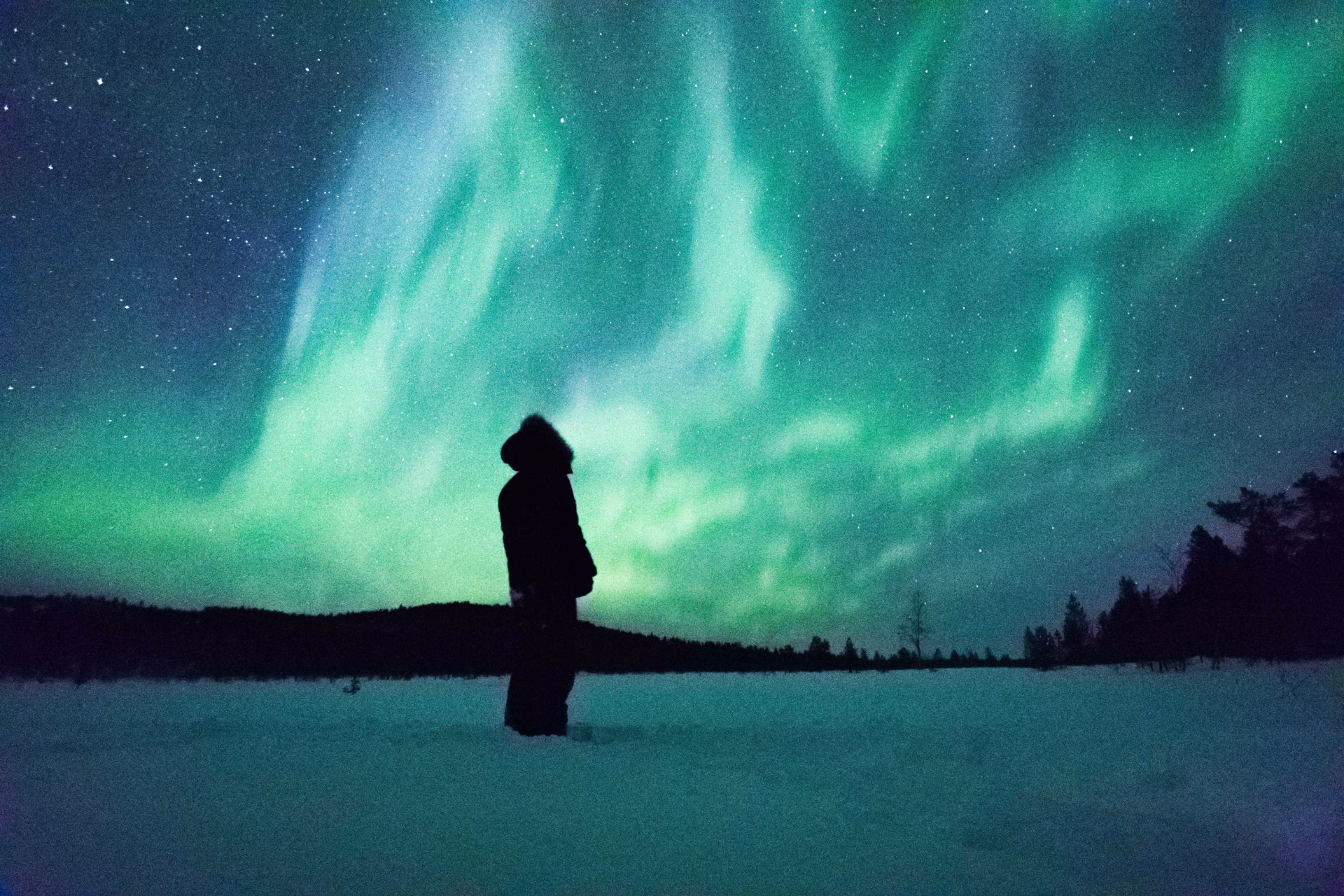 Aurores boréales l'hiver en Laponie, Finlande