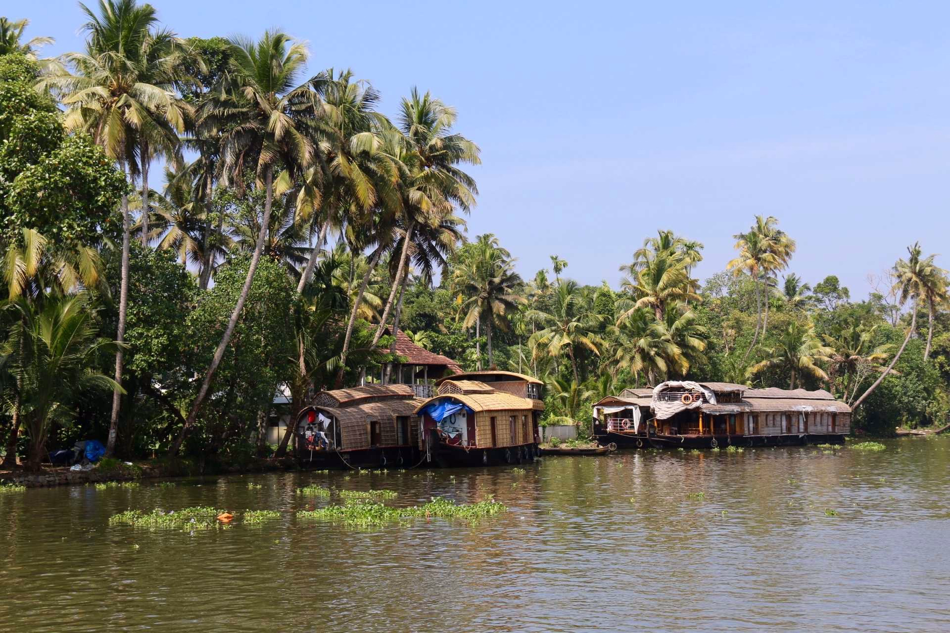 Grande découverte de l'Inde du Sud