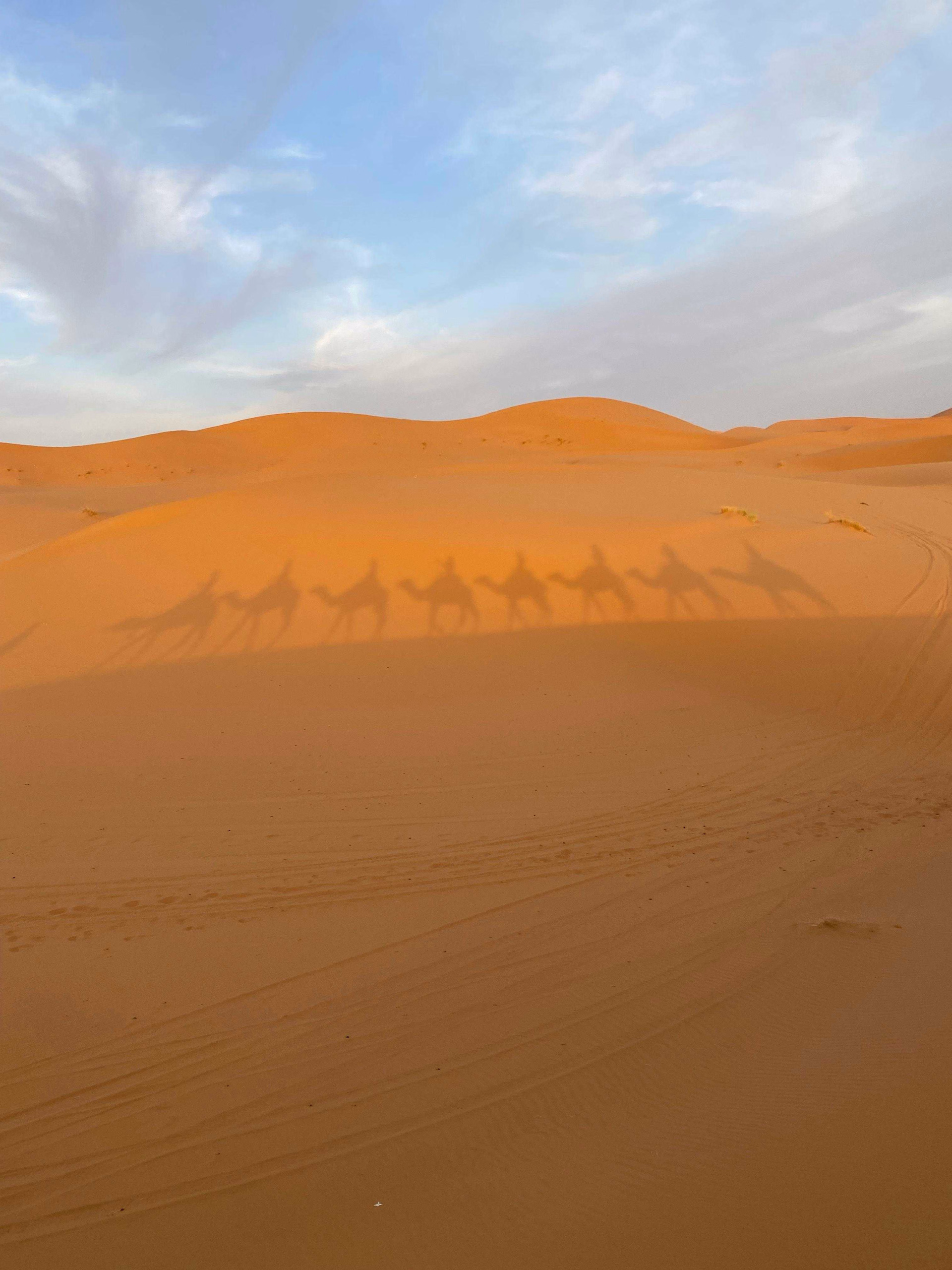 Des villes impériales aux dunes de Merzouga