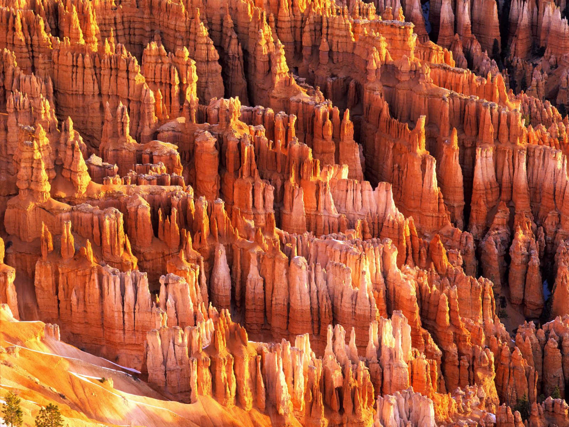 Bryce canyon Etats Unis