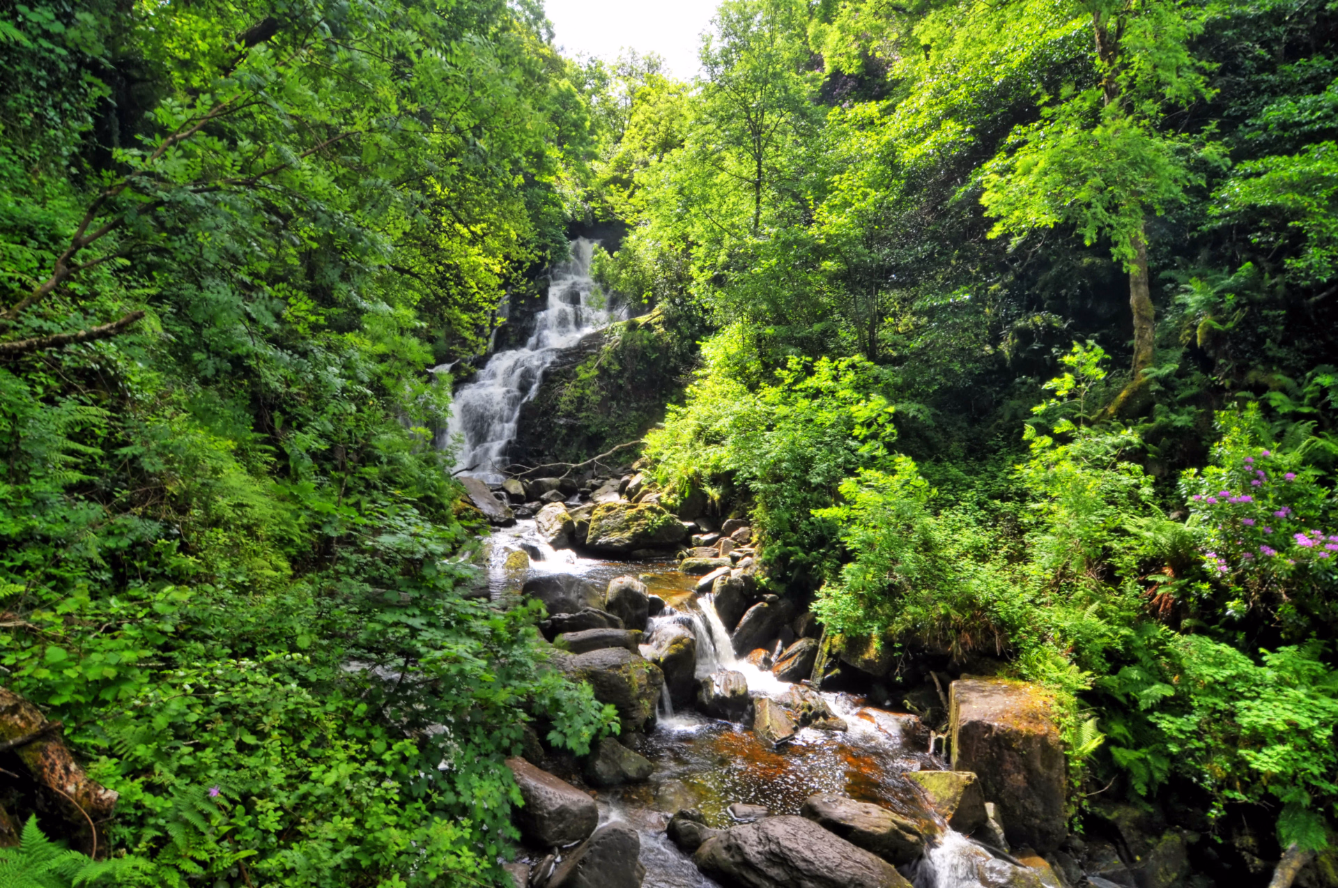 Cascade de Torc dans le parc national de Killarney en Irlande