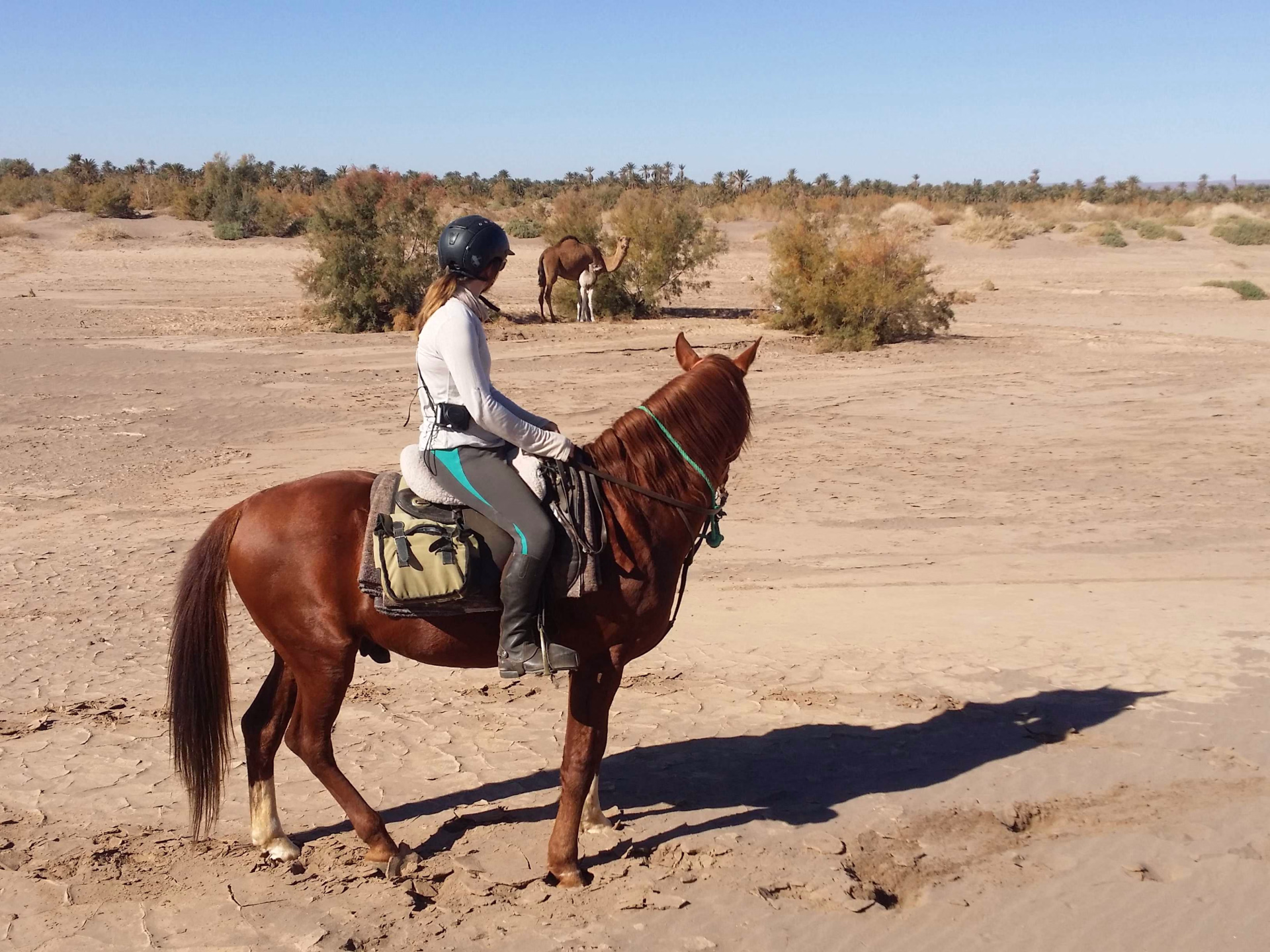 Cavalière dans le désert, Maroc