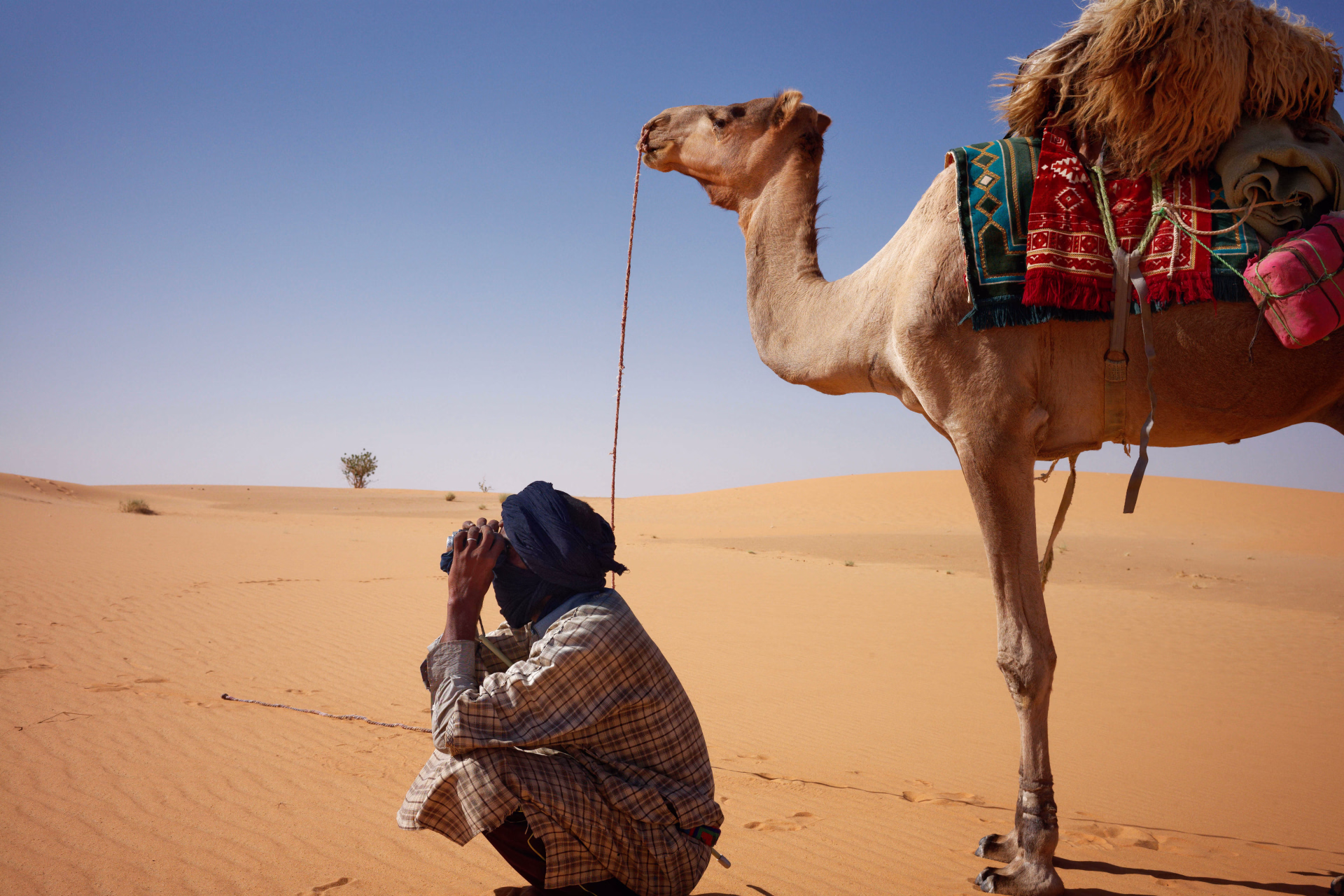 Chamelier et chameau en Mauritanie