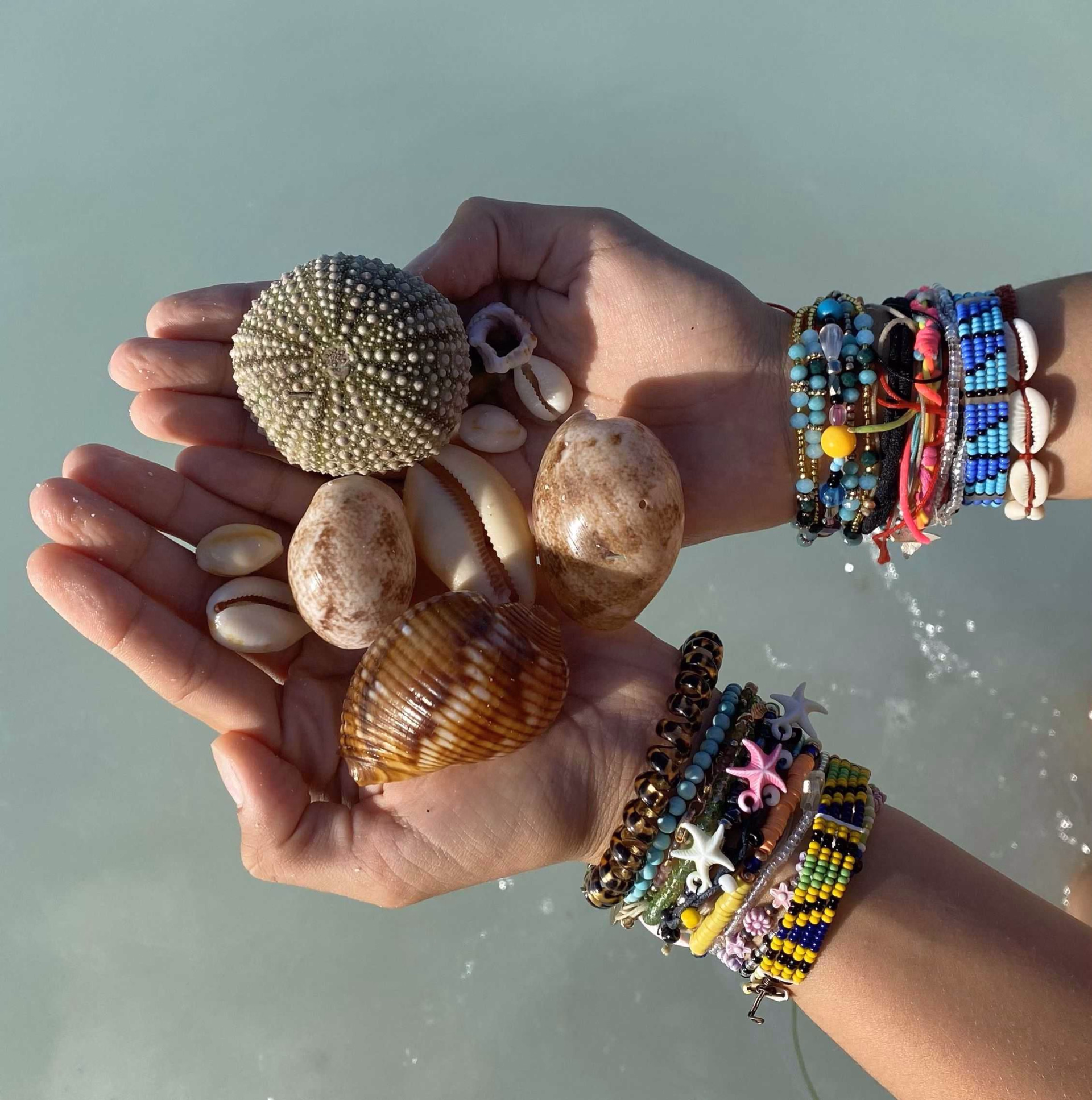 Safari et découverte de Zanzibar en famille !