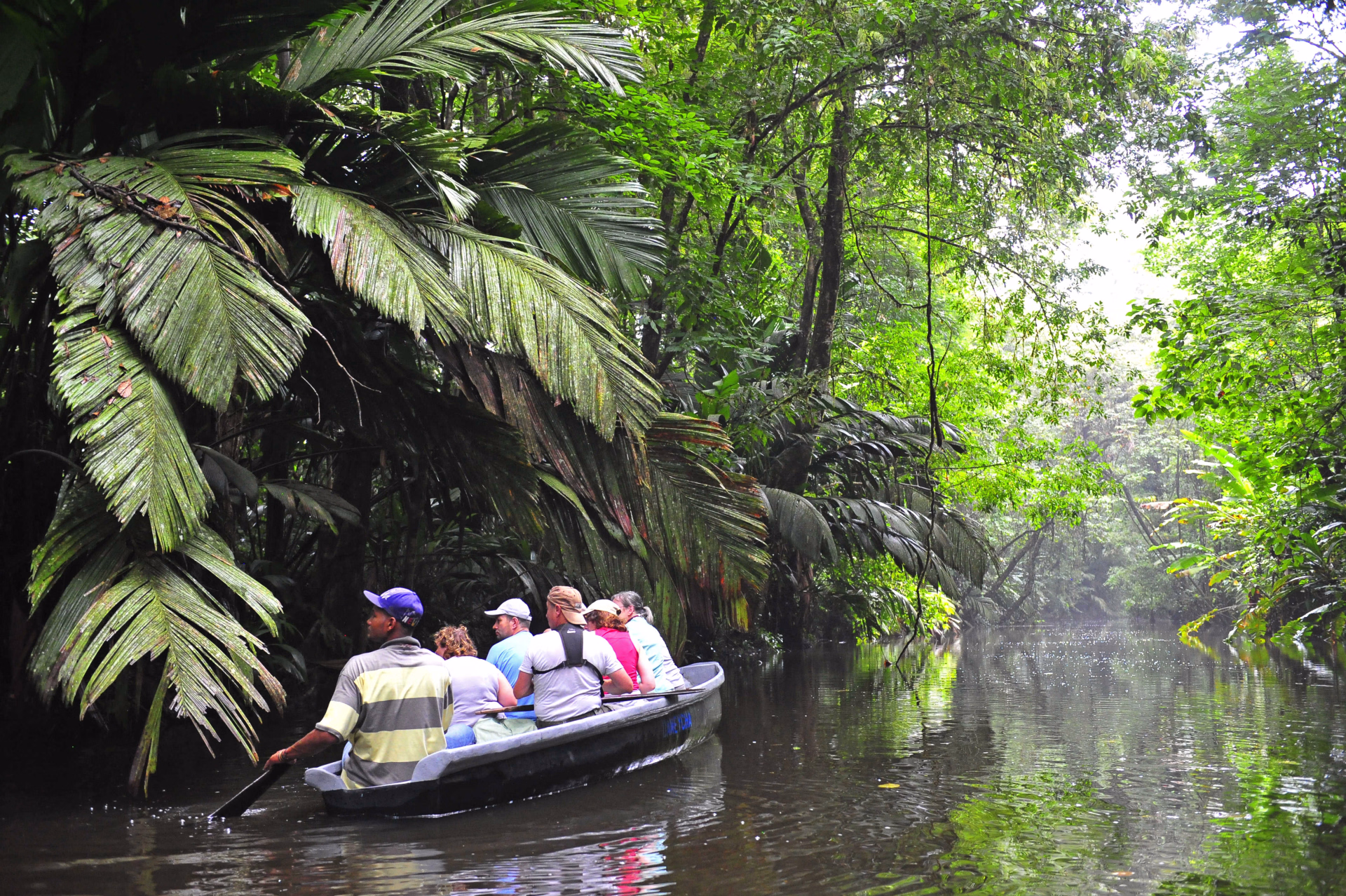 découverte en canoë du parc national Tortuguero