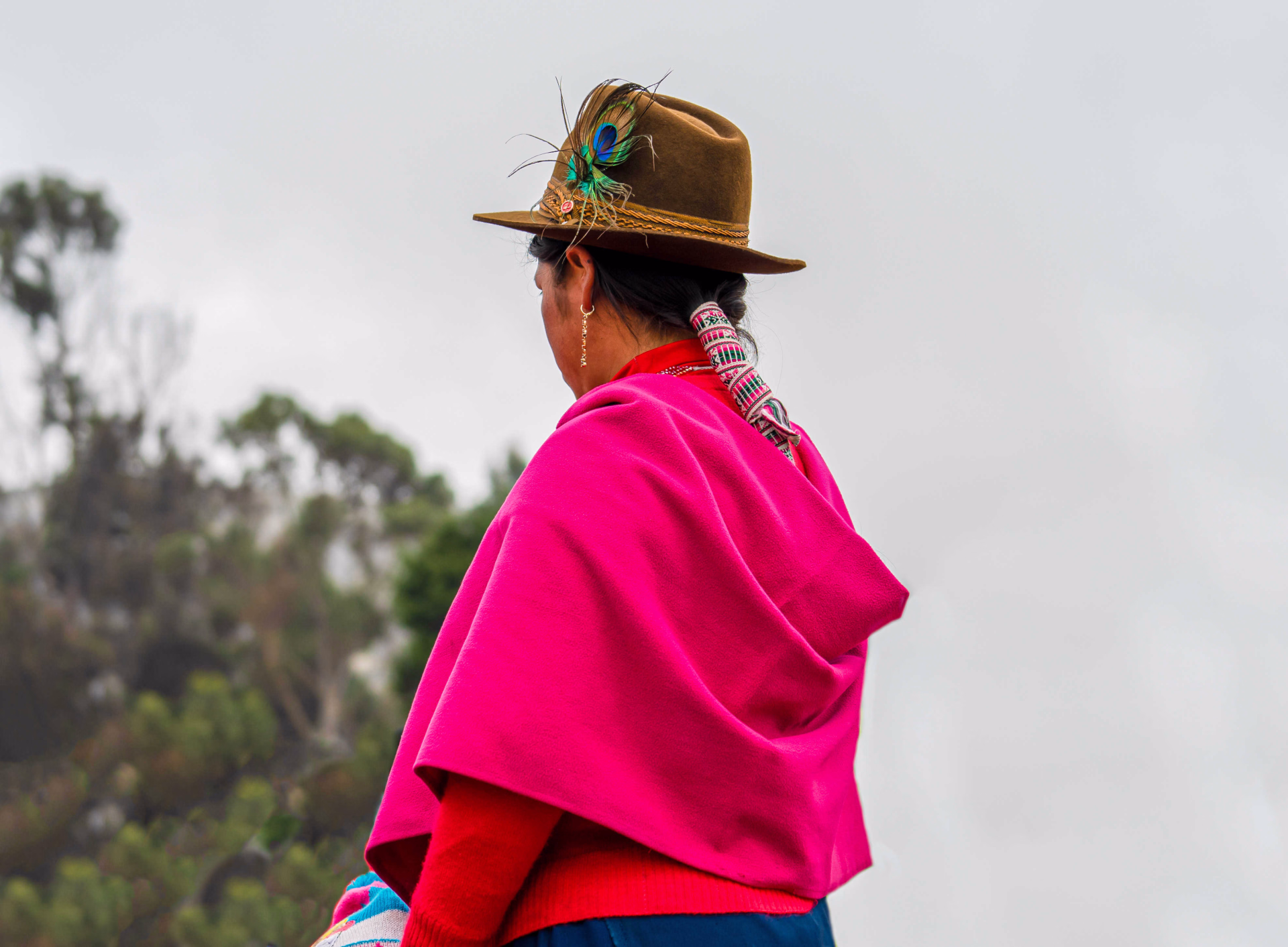 L’Équateur, entre volcans majestueux et forêt primaire