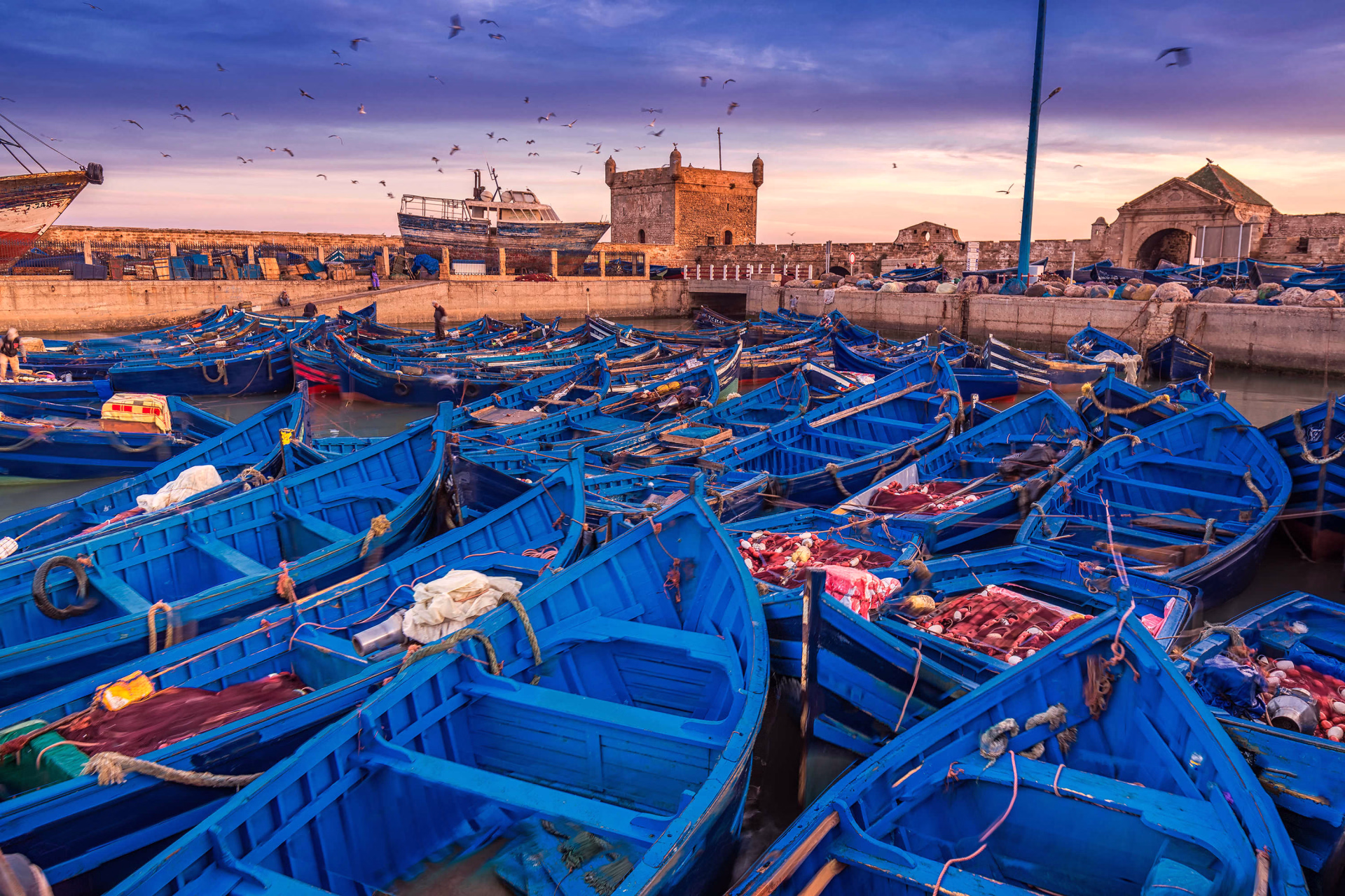 Essaouira - trek - cote