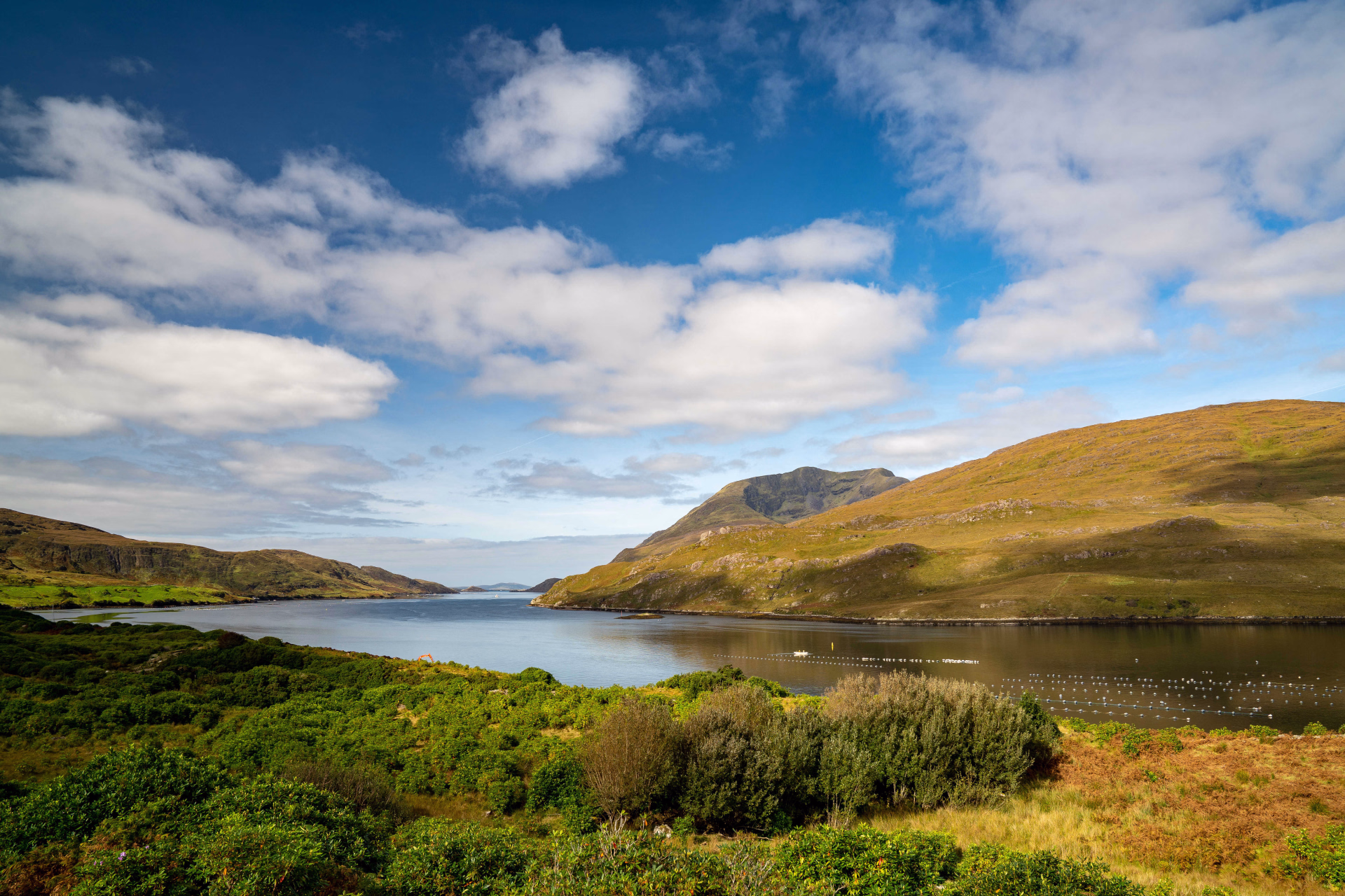 Fjord de Killary en Irlande