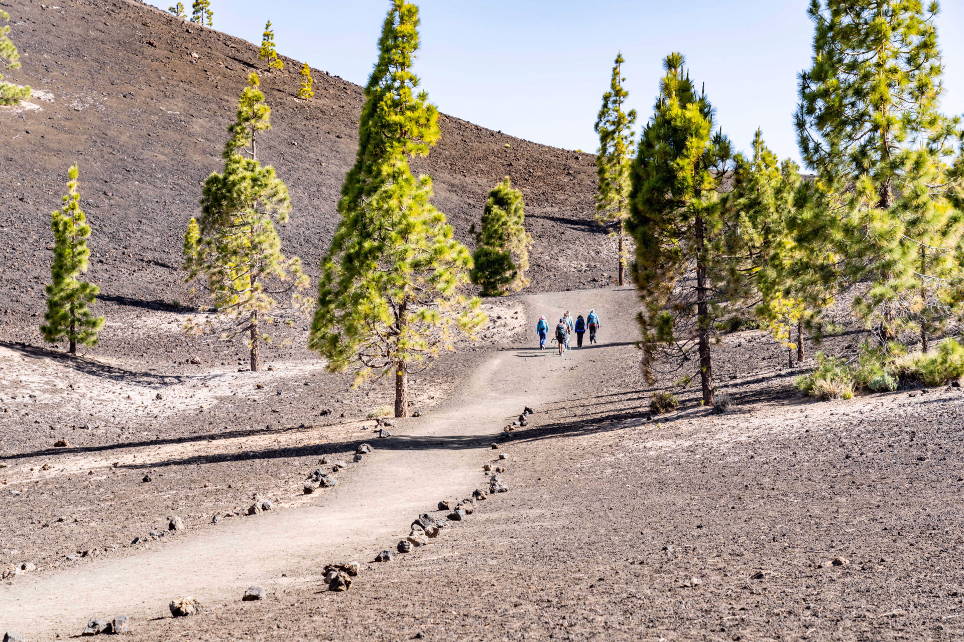 groupe de randonneurs à Samaraà Ténérife aux îles Canaries