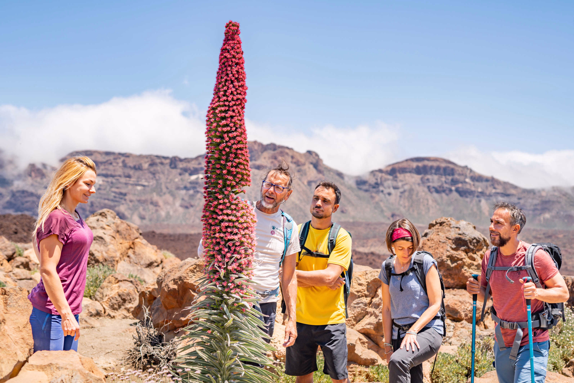 groupe de randonneurs dans la vallée de roque de Garcia