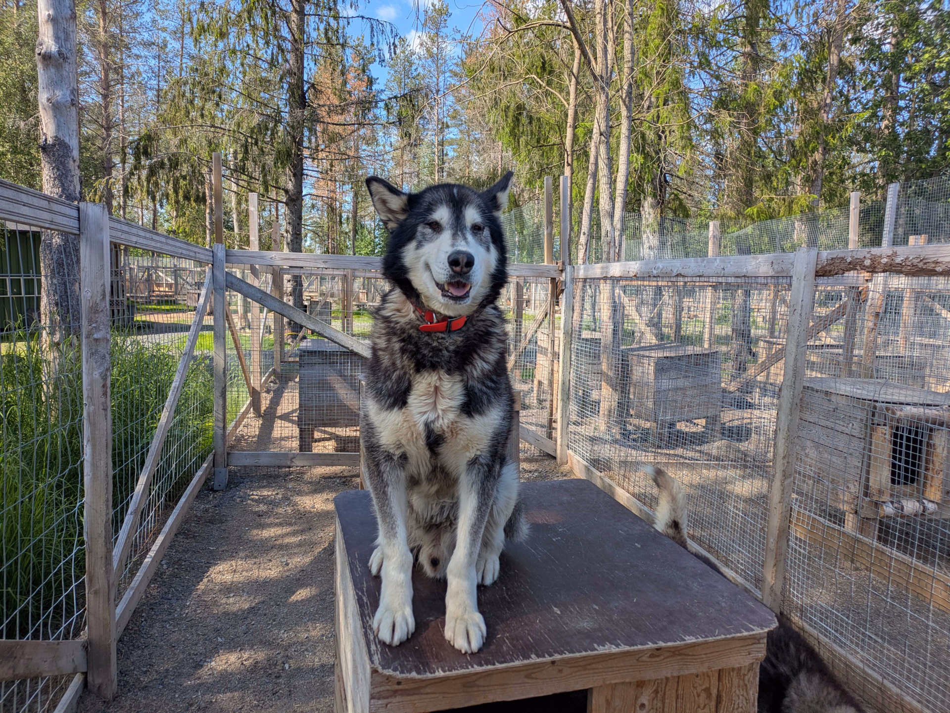 Escapade finlandaise en famille