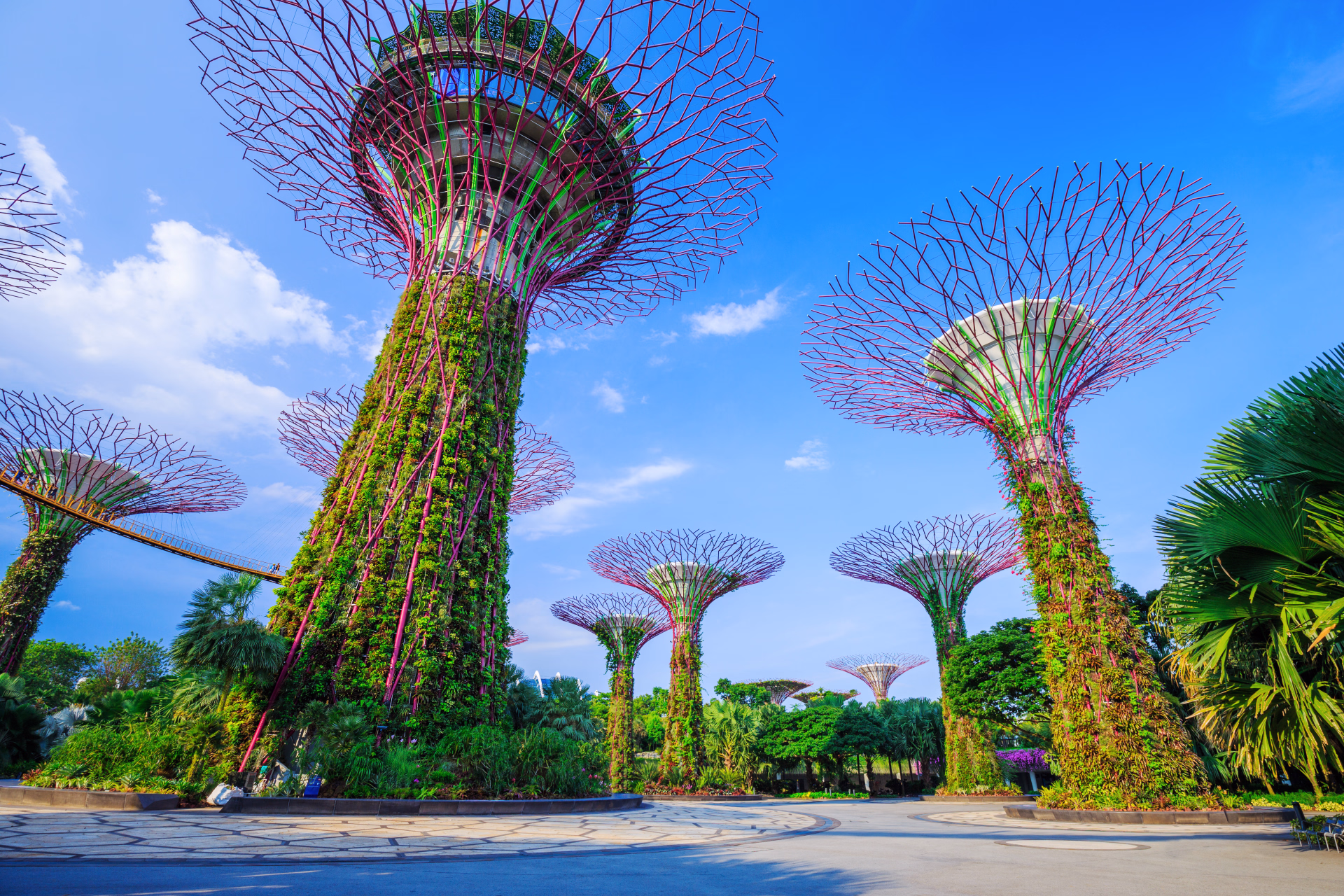 Sur les rails de la Malaisie : de Kuala Lumpur à Singapour