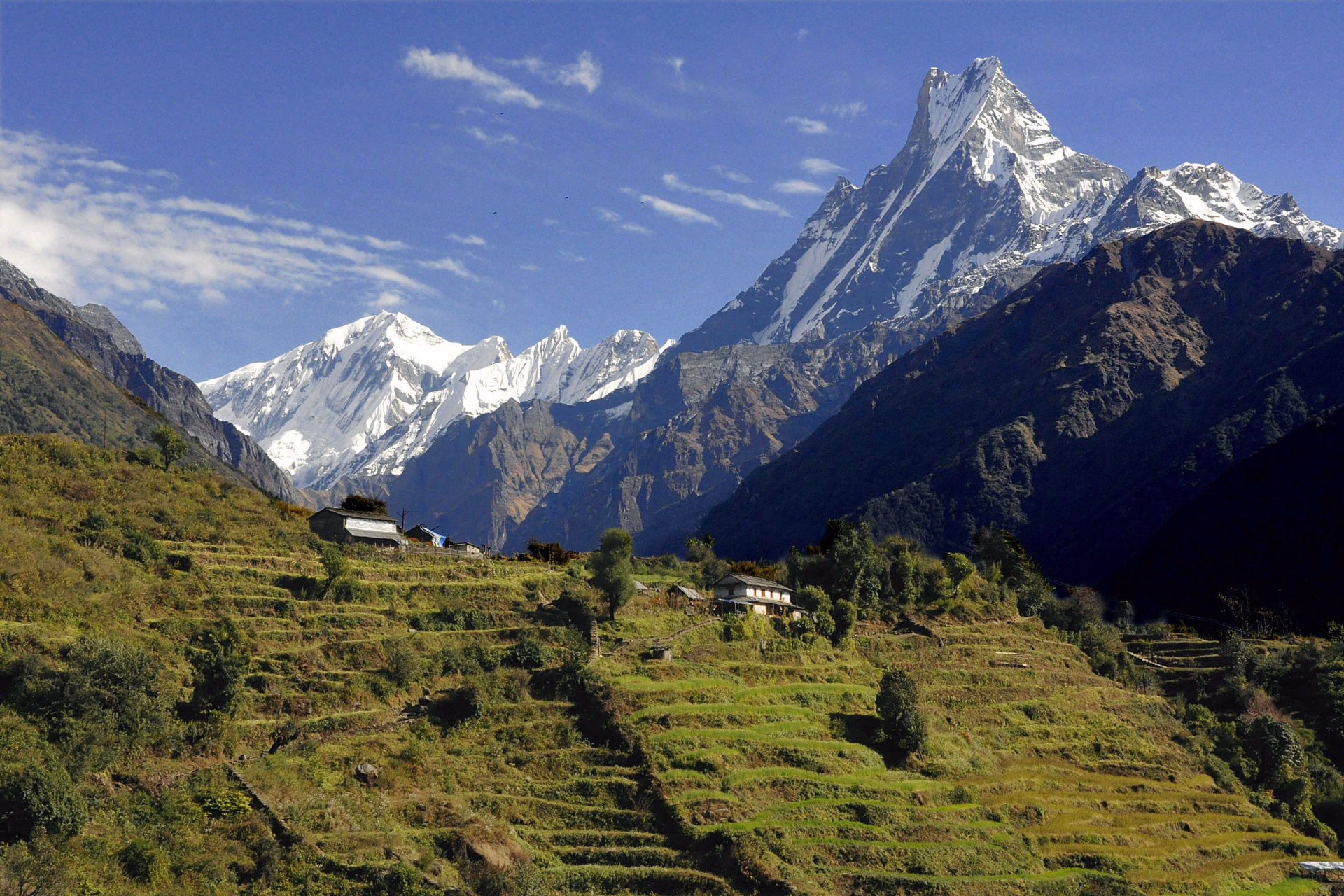 La vallée de la Modi khola, dominée par le Machhapuchhre