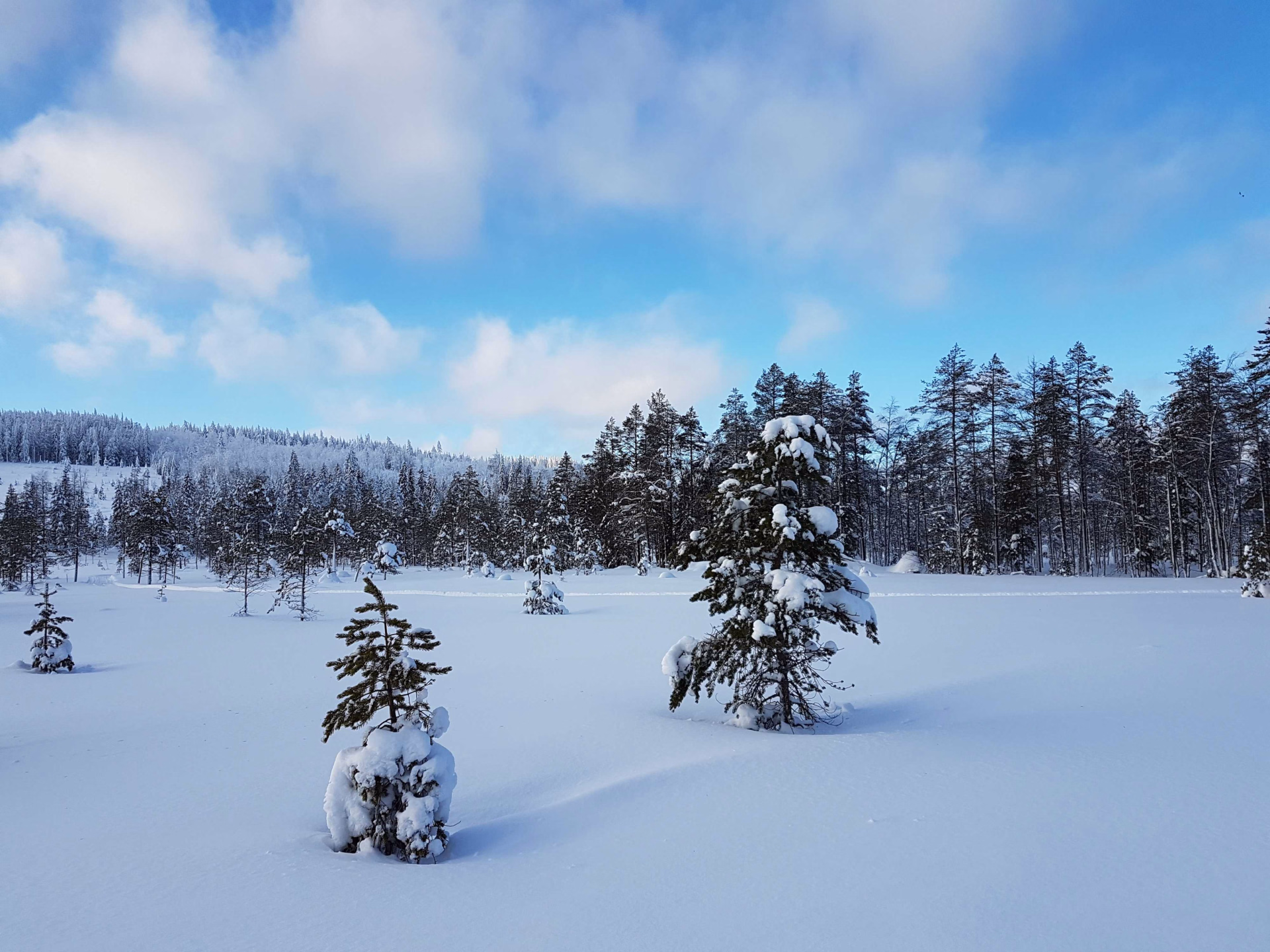 Nos séjours disponibles à Noël pour vos vacances !