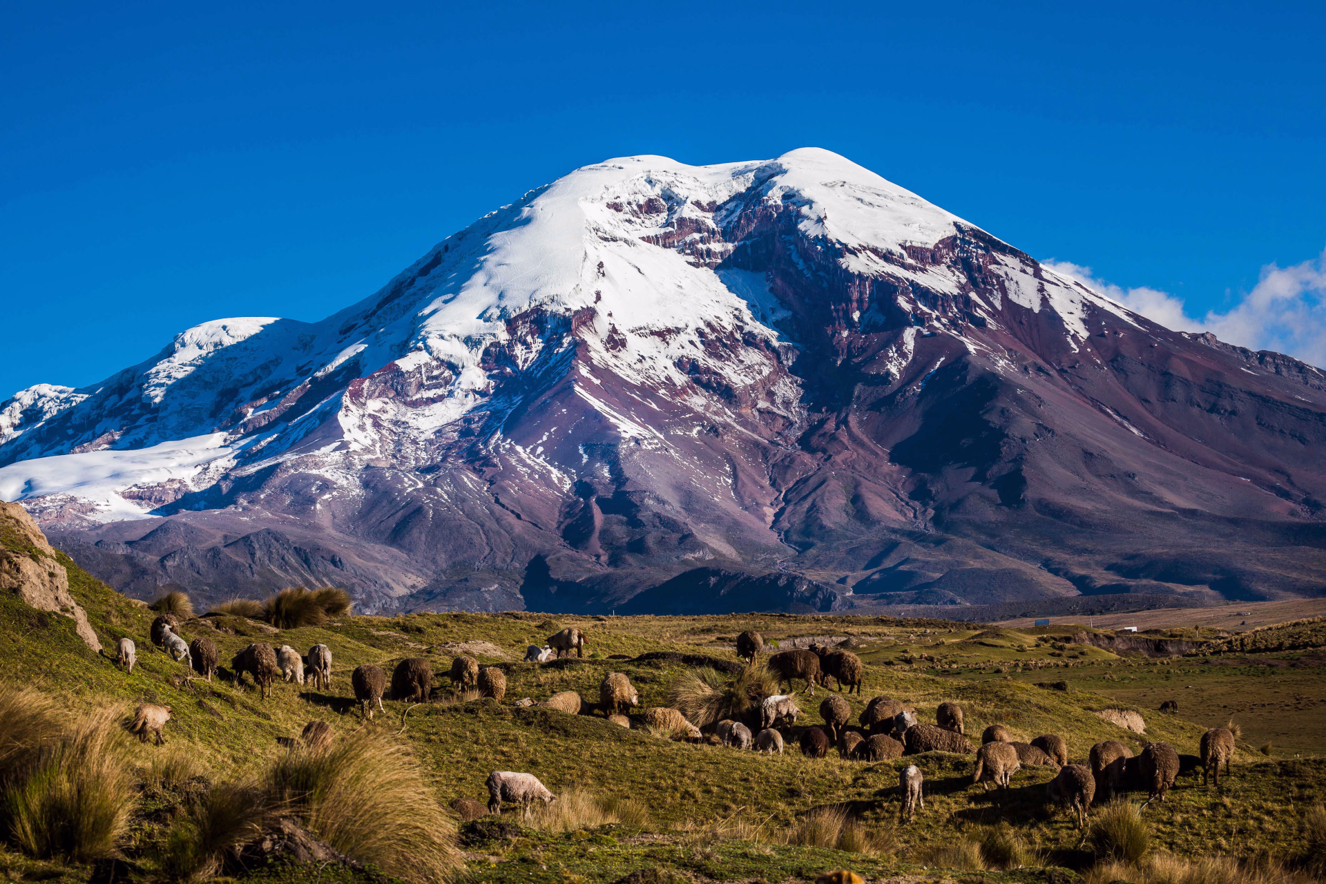 L’Équateur, entre volcans majestueux et forêt primaire