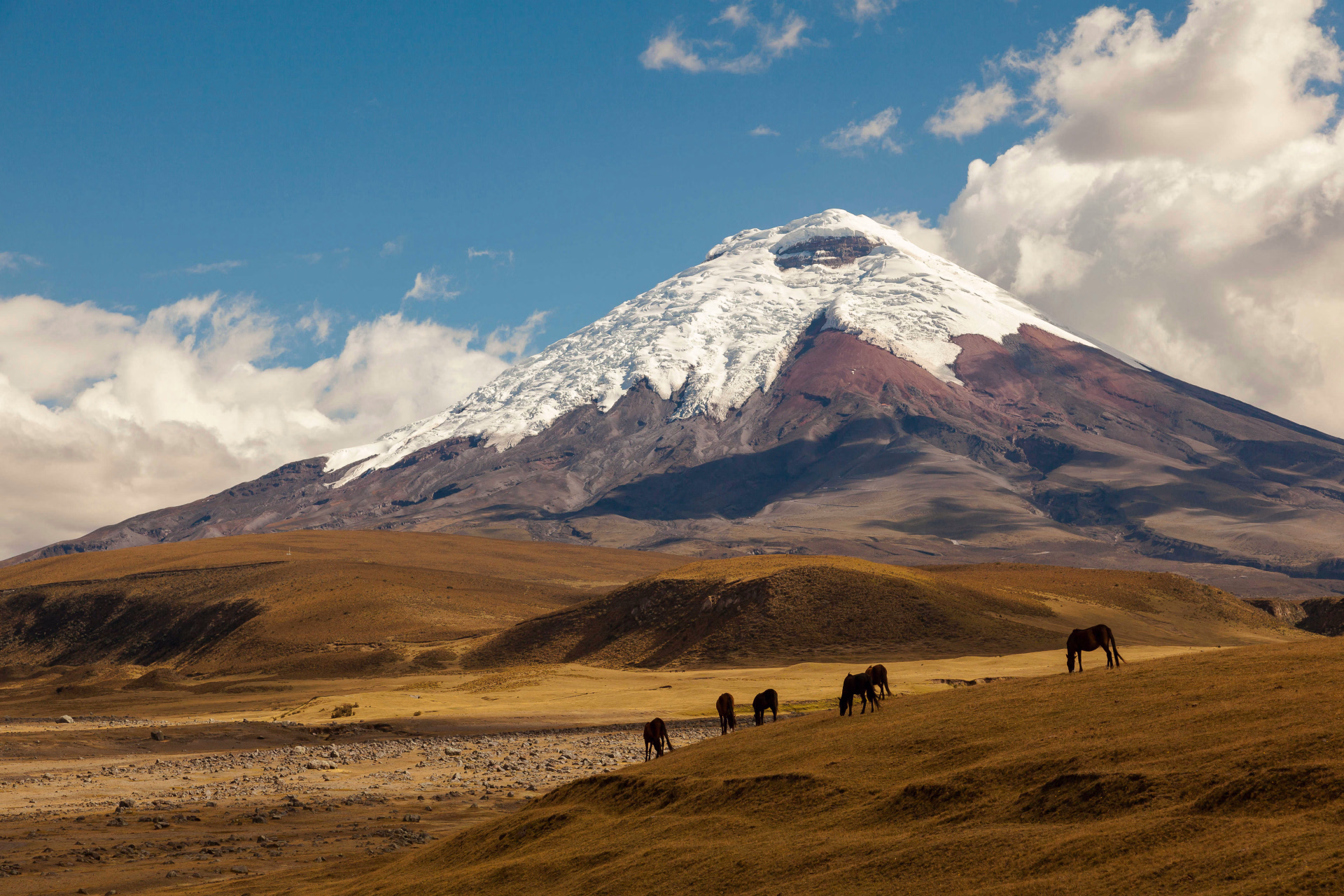 Andes et Amazonie : âmes et couleurs d'Équateur