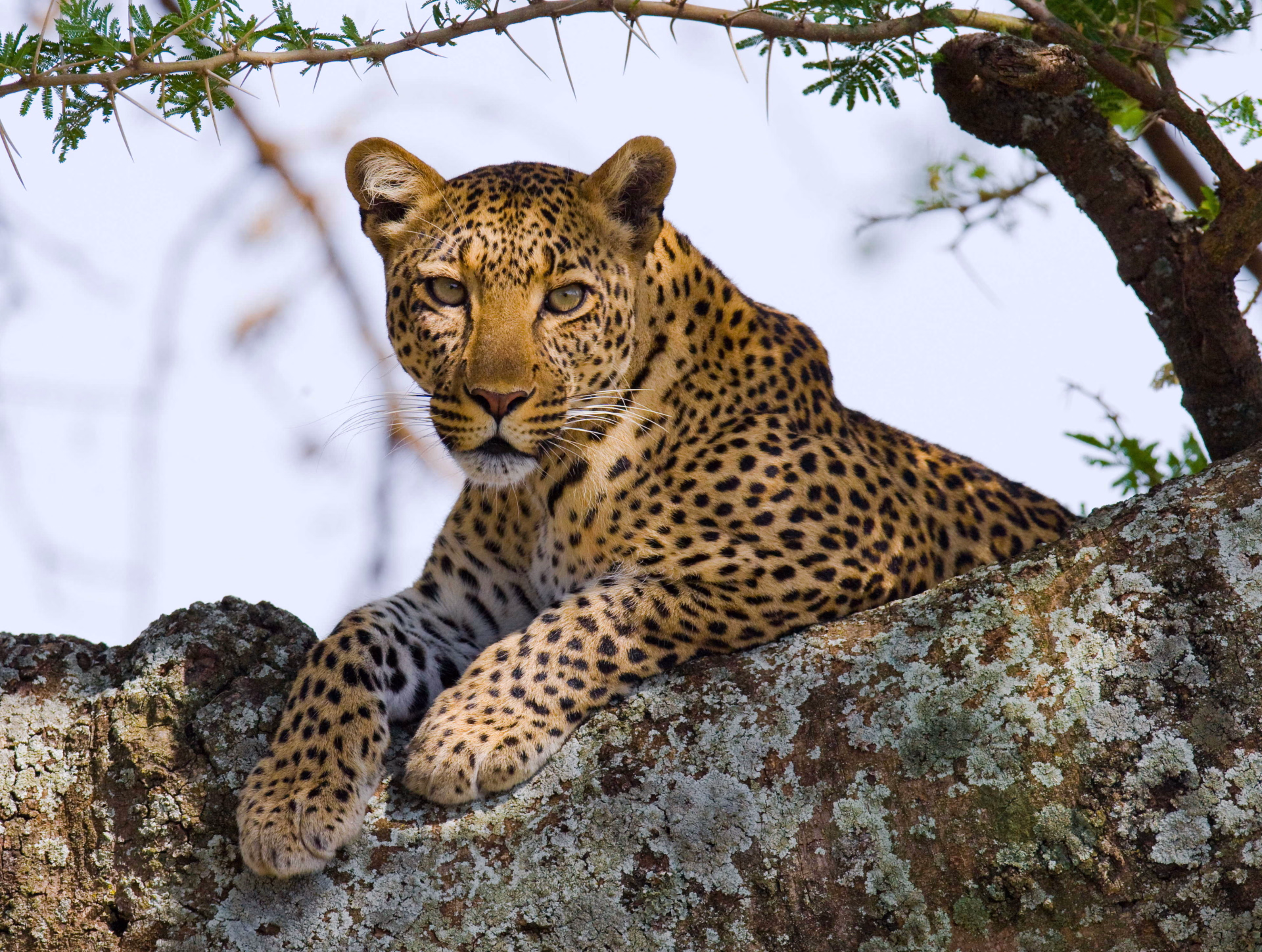 Safari et découverte de Zanzibar en famille !