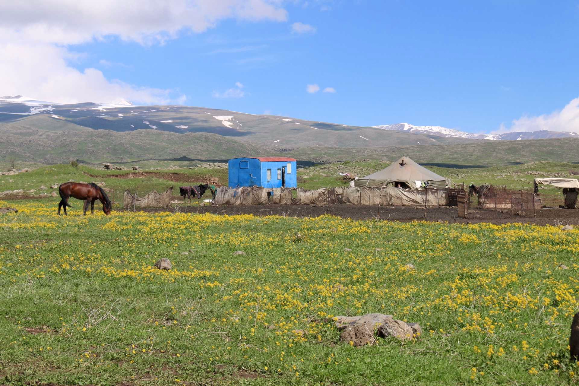 Trek Aragat