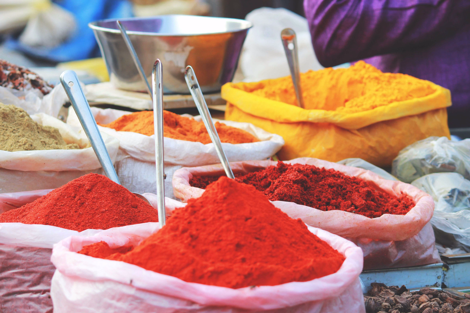 Rajasthan et les villes sacrées de la plaine du Gange
