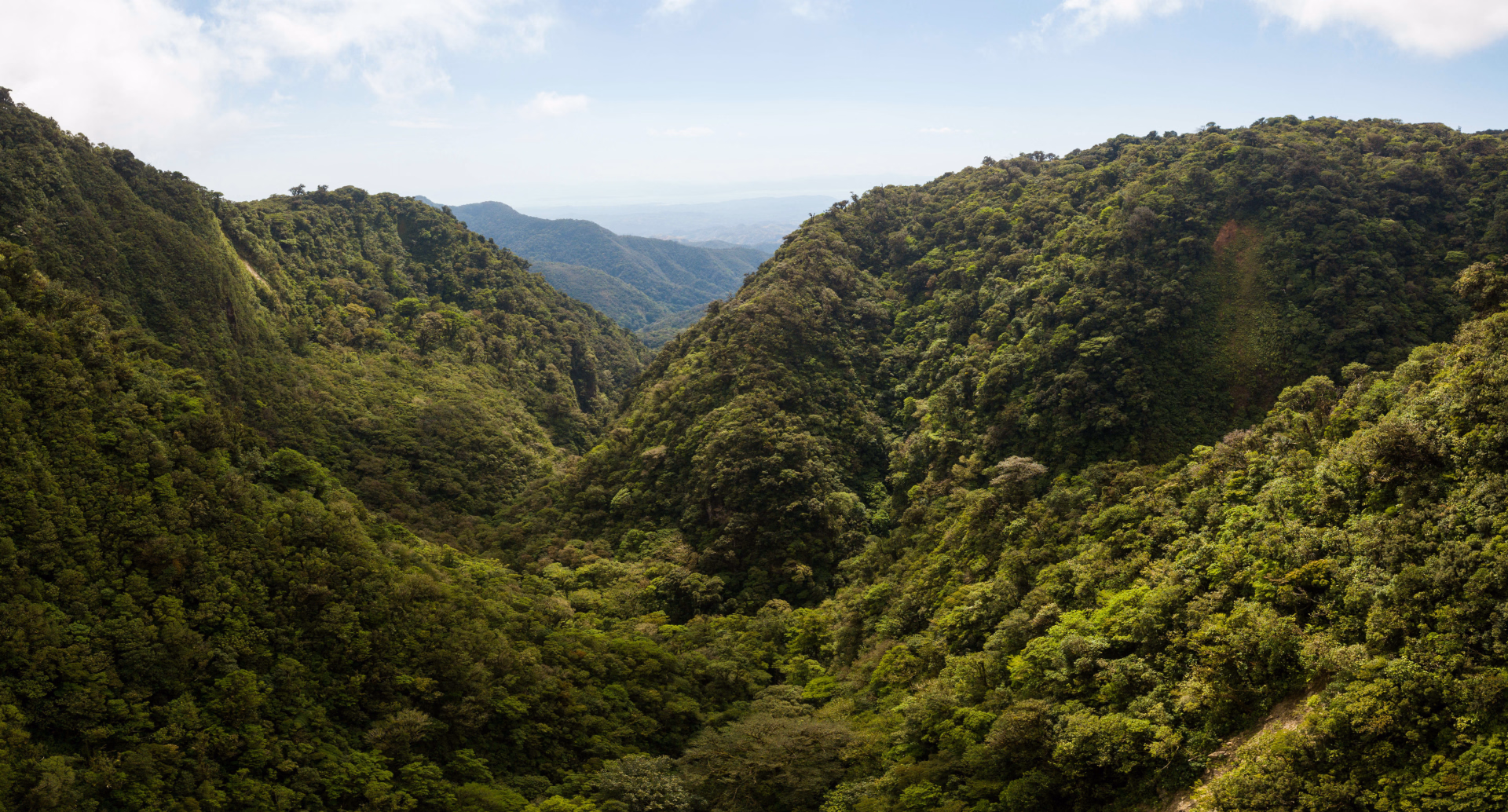 Costa Rica, sanctuaires sauvages et immersion locale