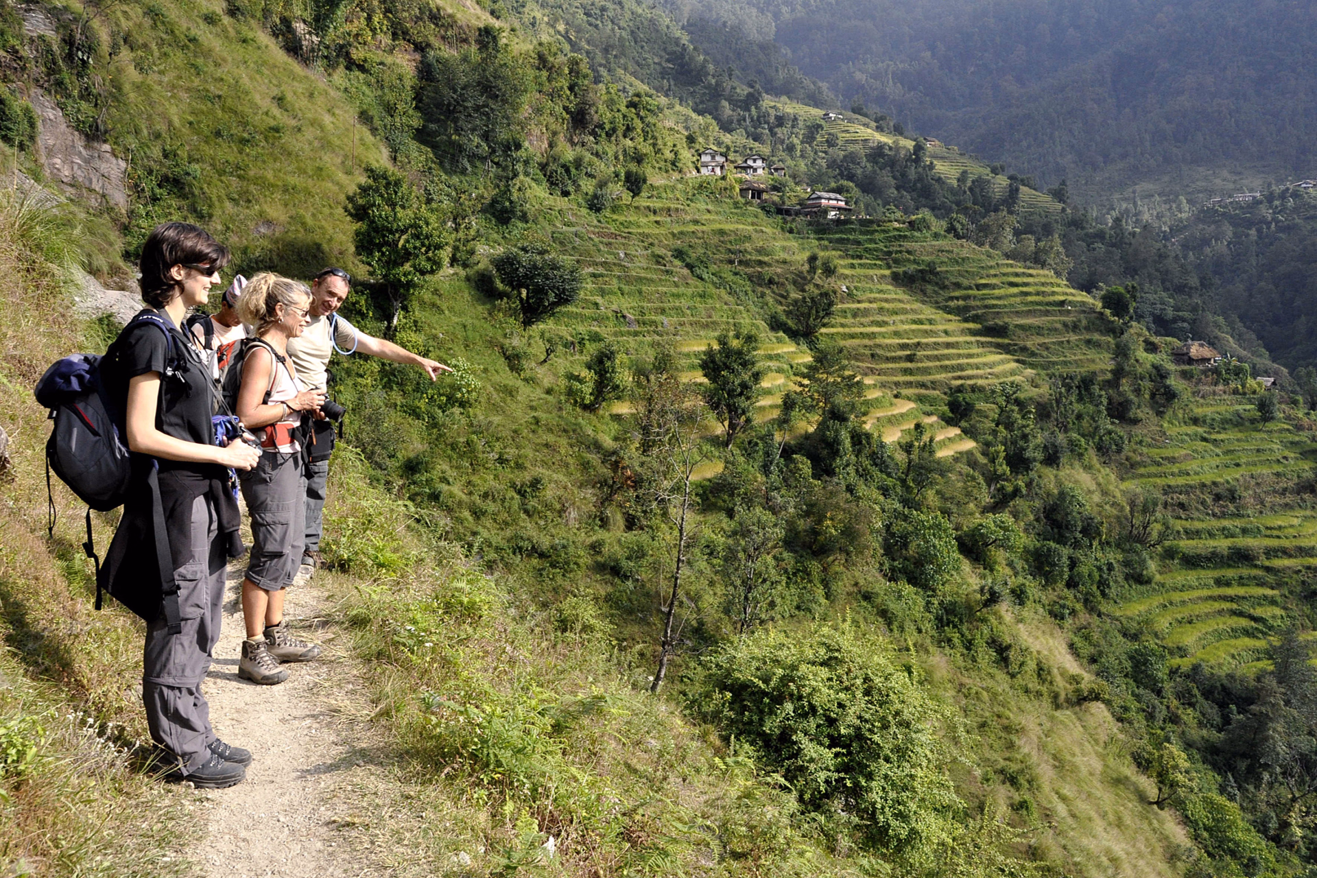 Les rizières en terrasse sur les balcons des Annapurnas