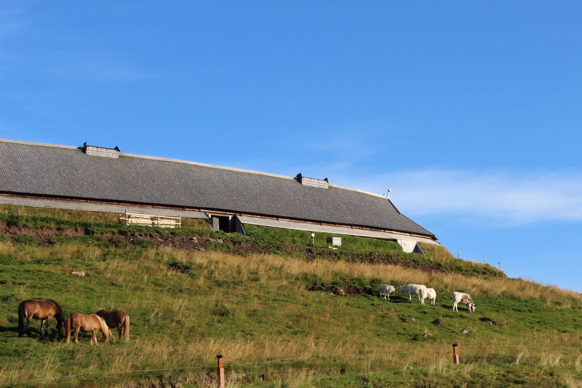 Maison viking, musée de Borg, îles Lofoten, Norvège