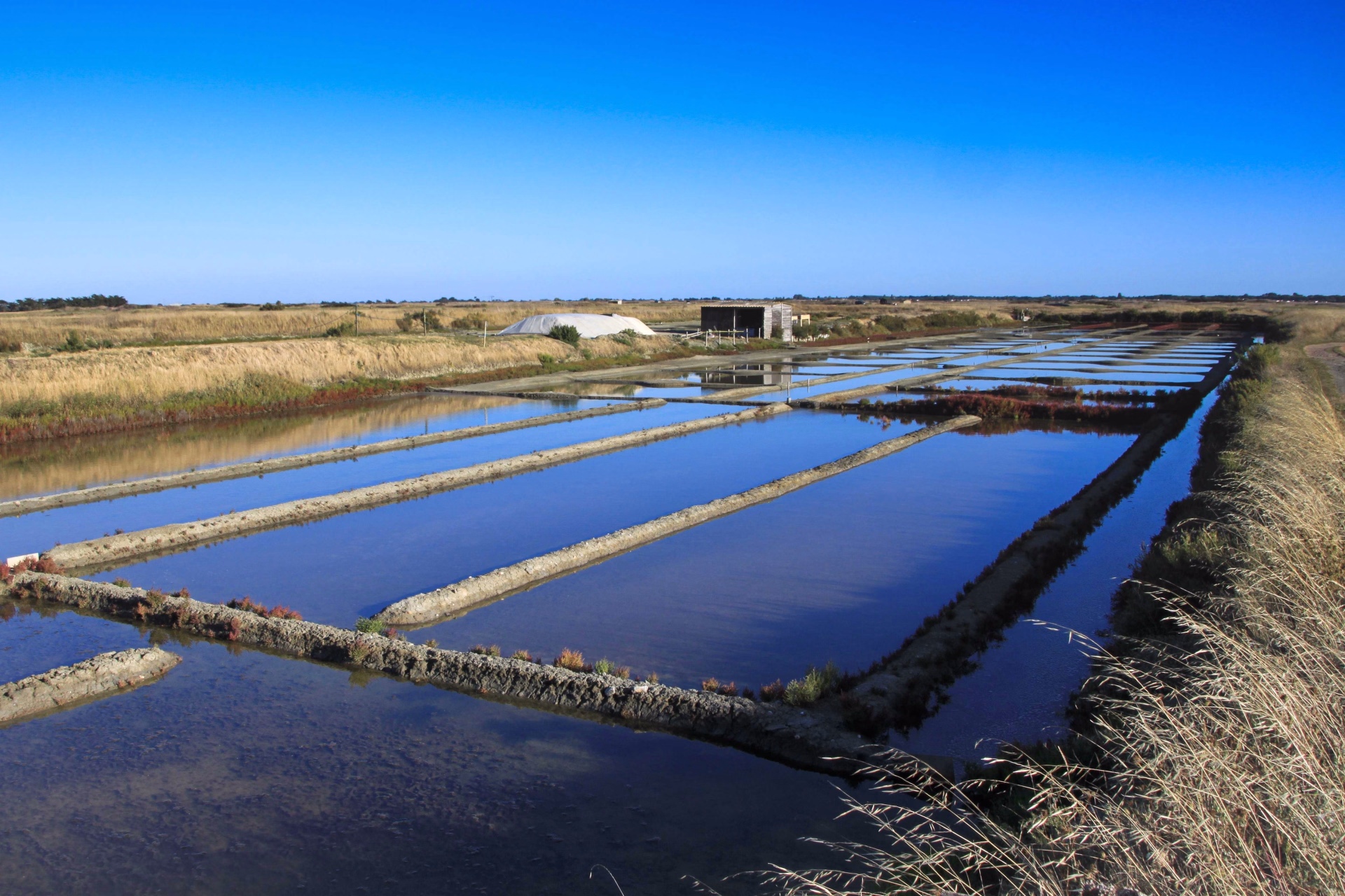 Marais salants sur l'île de Noirmoutier