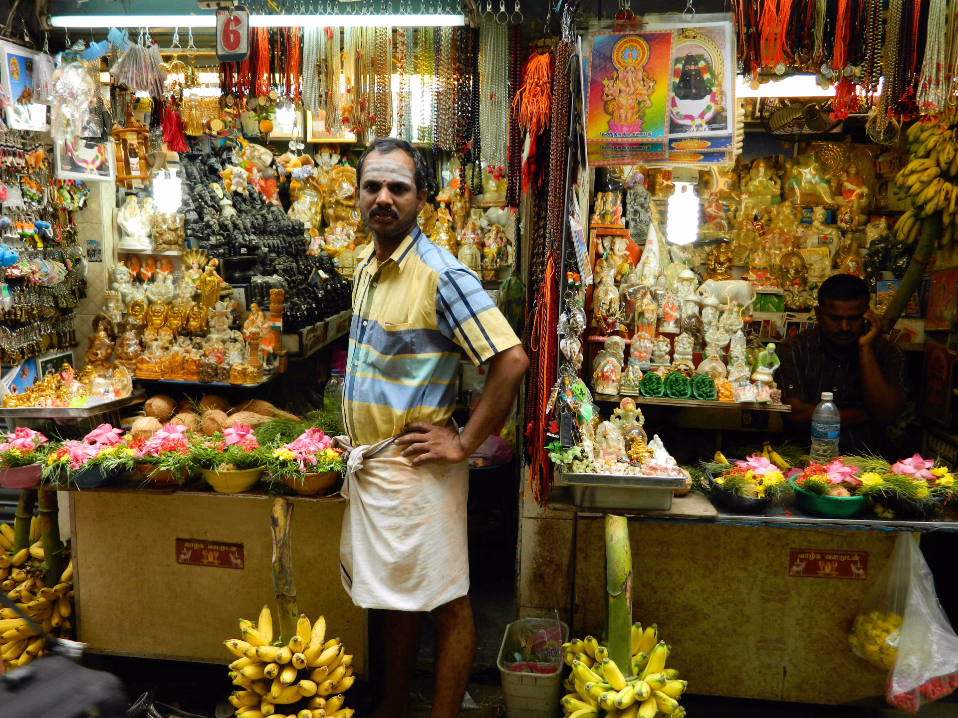 Grande découverte de l'Inde du Sud