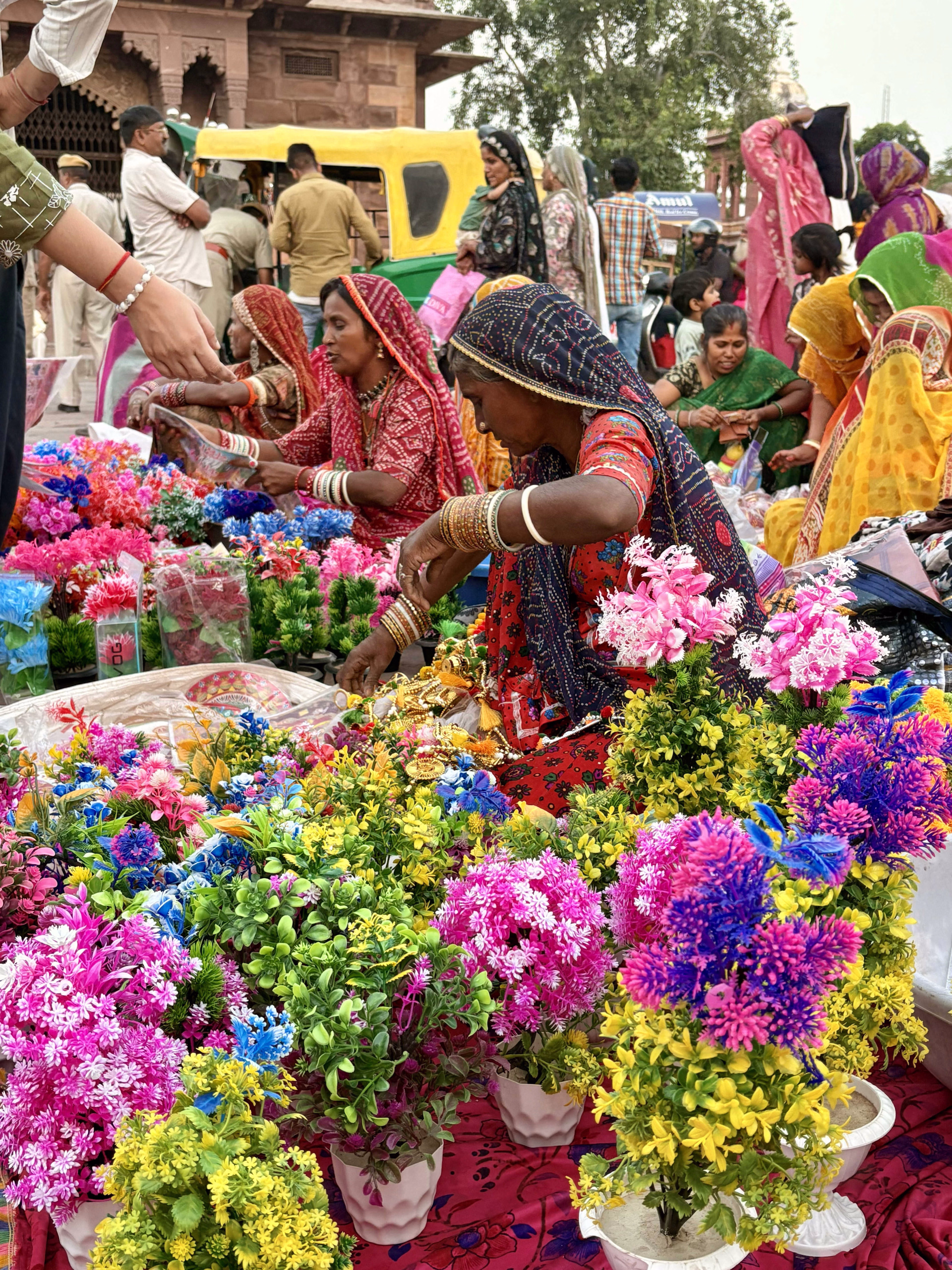 Rajasthan, voyage au cœur des cités royales et du Taj Mahal