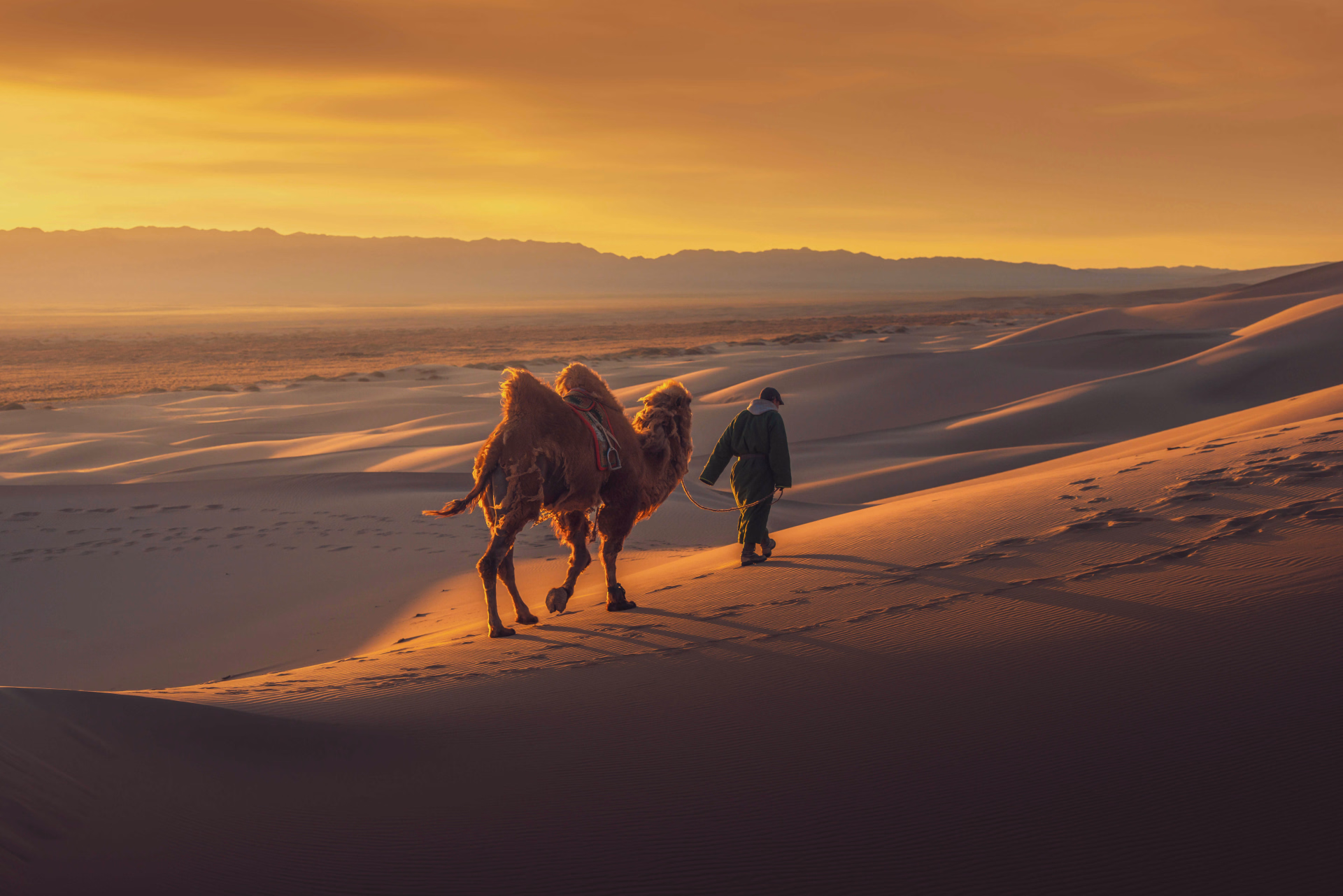 Partez à la découverte de la Mongolie avec nos séours de randonnée