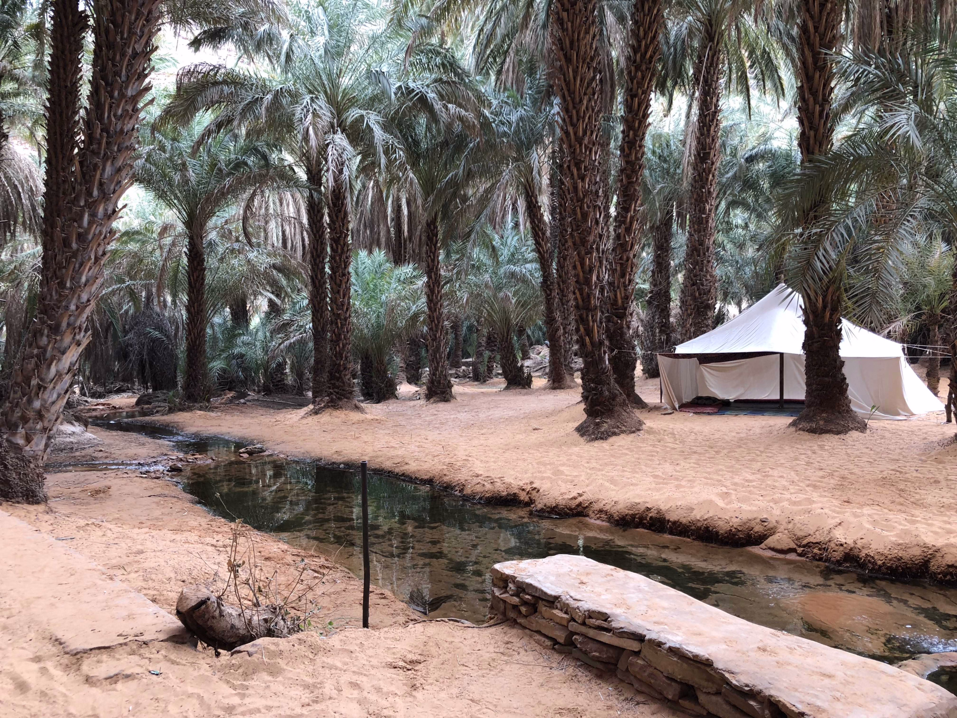Oasis de Terjit, Mauritanie