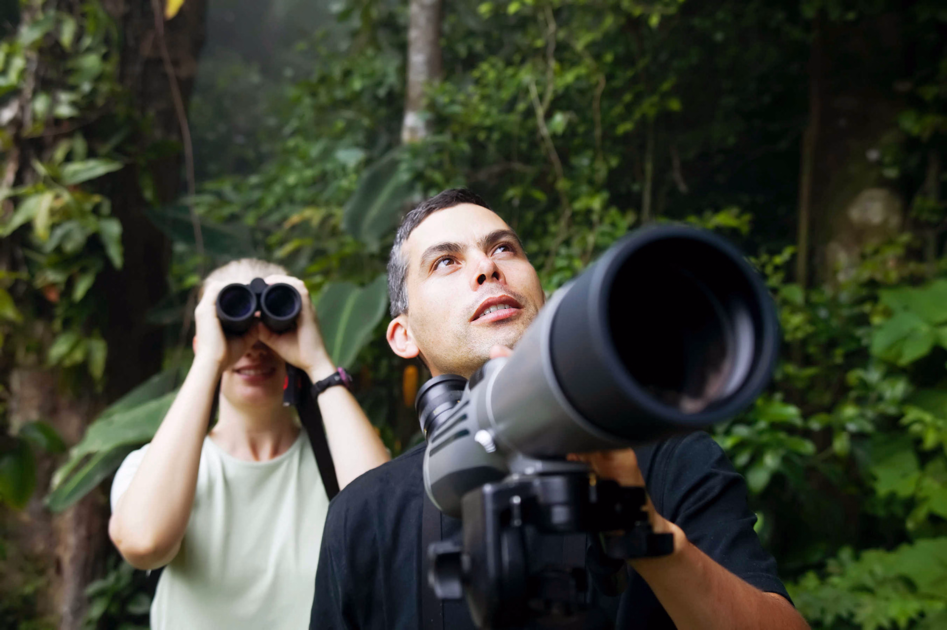 Observations animales en foret tropicale