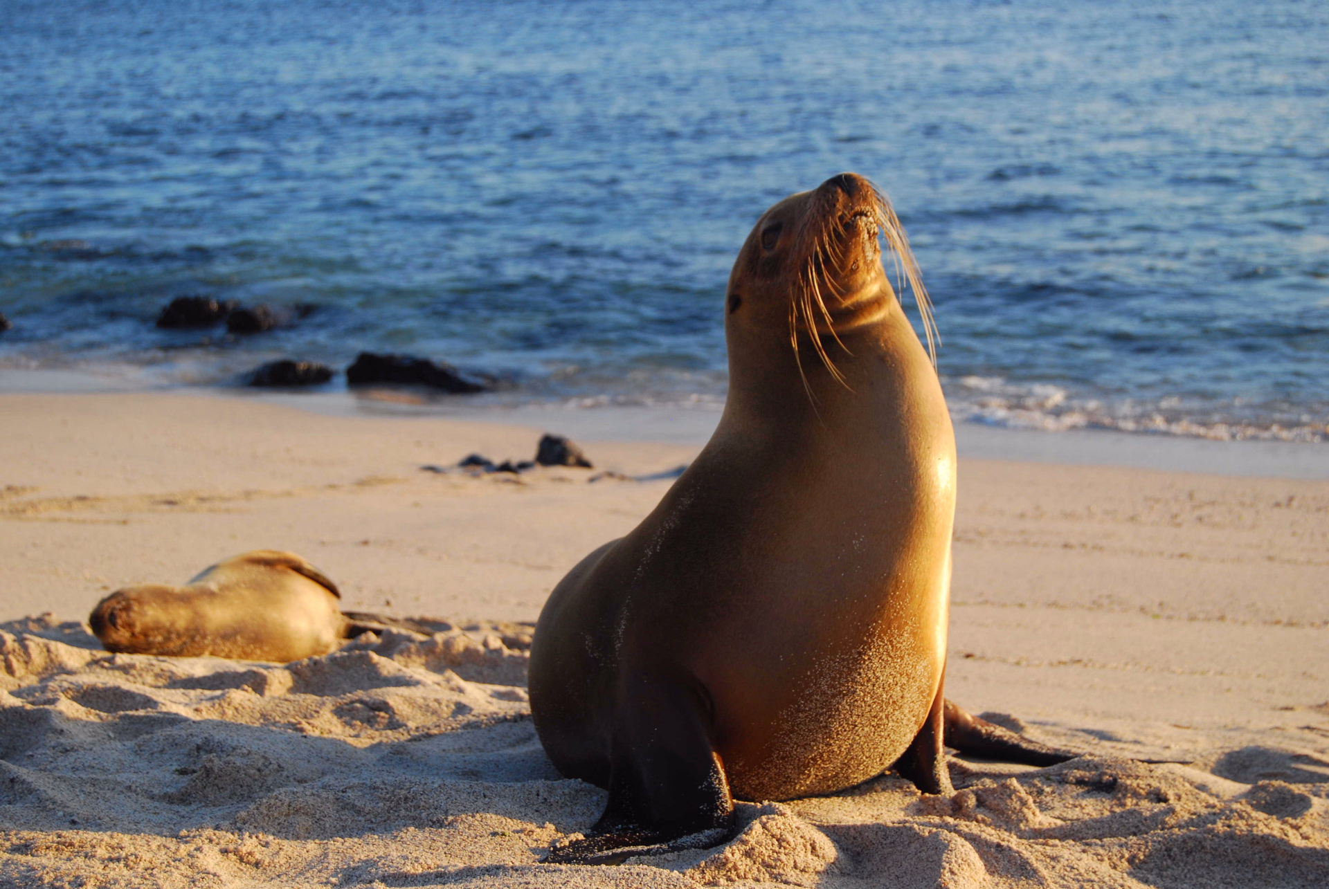 Andes, Amazonie et Galapagos : voyage au pays des 4 Mondes