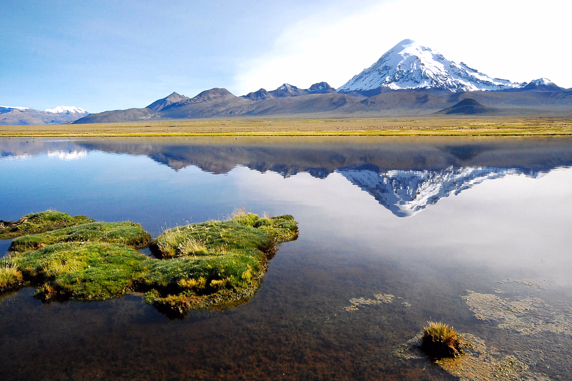 Parc National de Sajama, Oruro, Bolivie