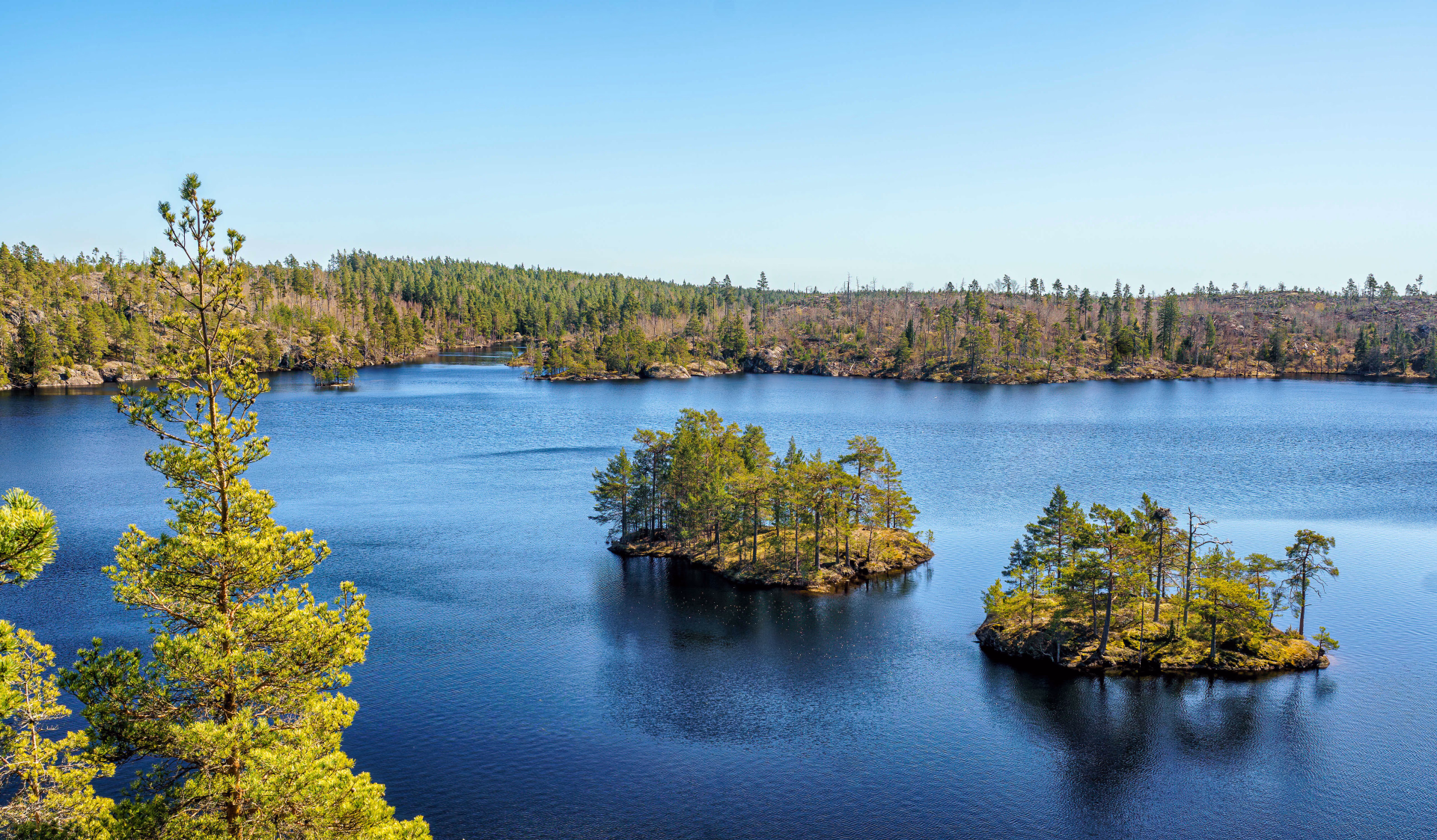 Parc national de Tyresta en Suède