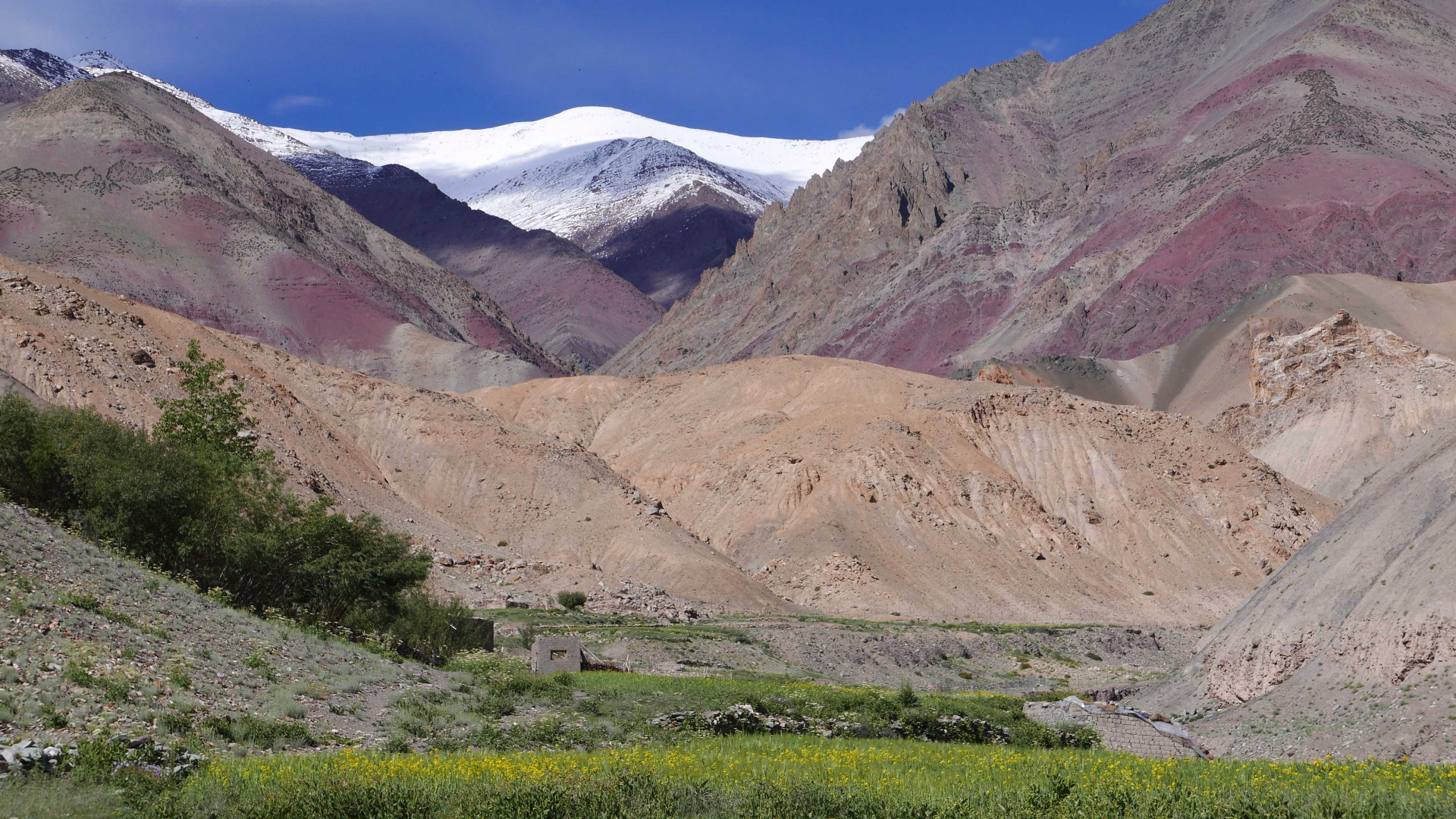 Paysage de la vallée de la Markha, au Ladakh, en Inde Himalayenne