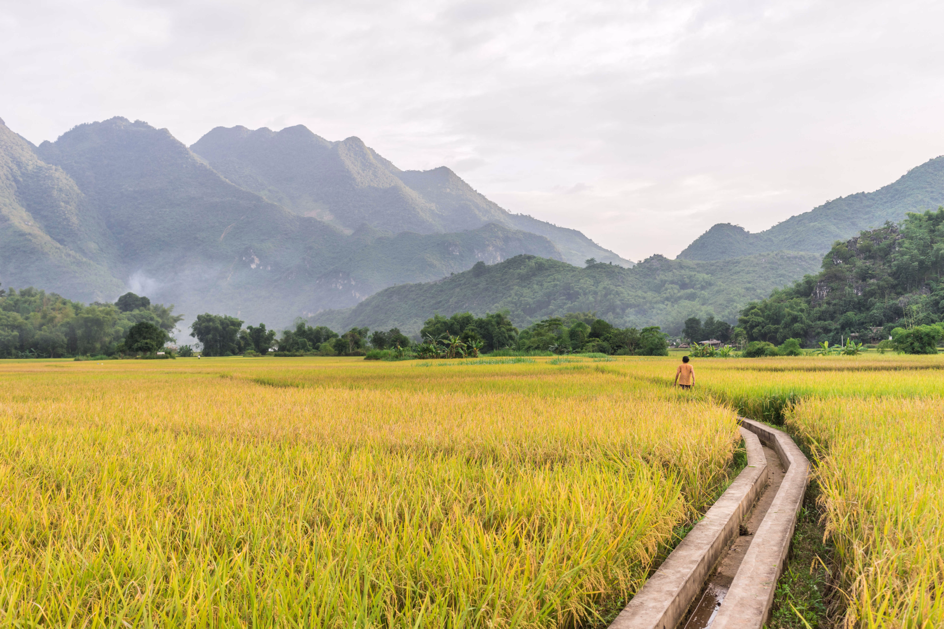 Paysage de la vallée de Mai Chau