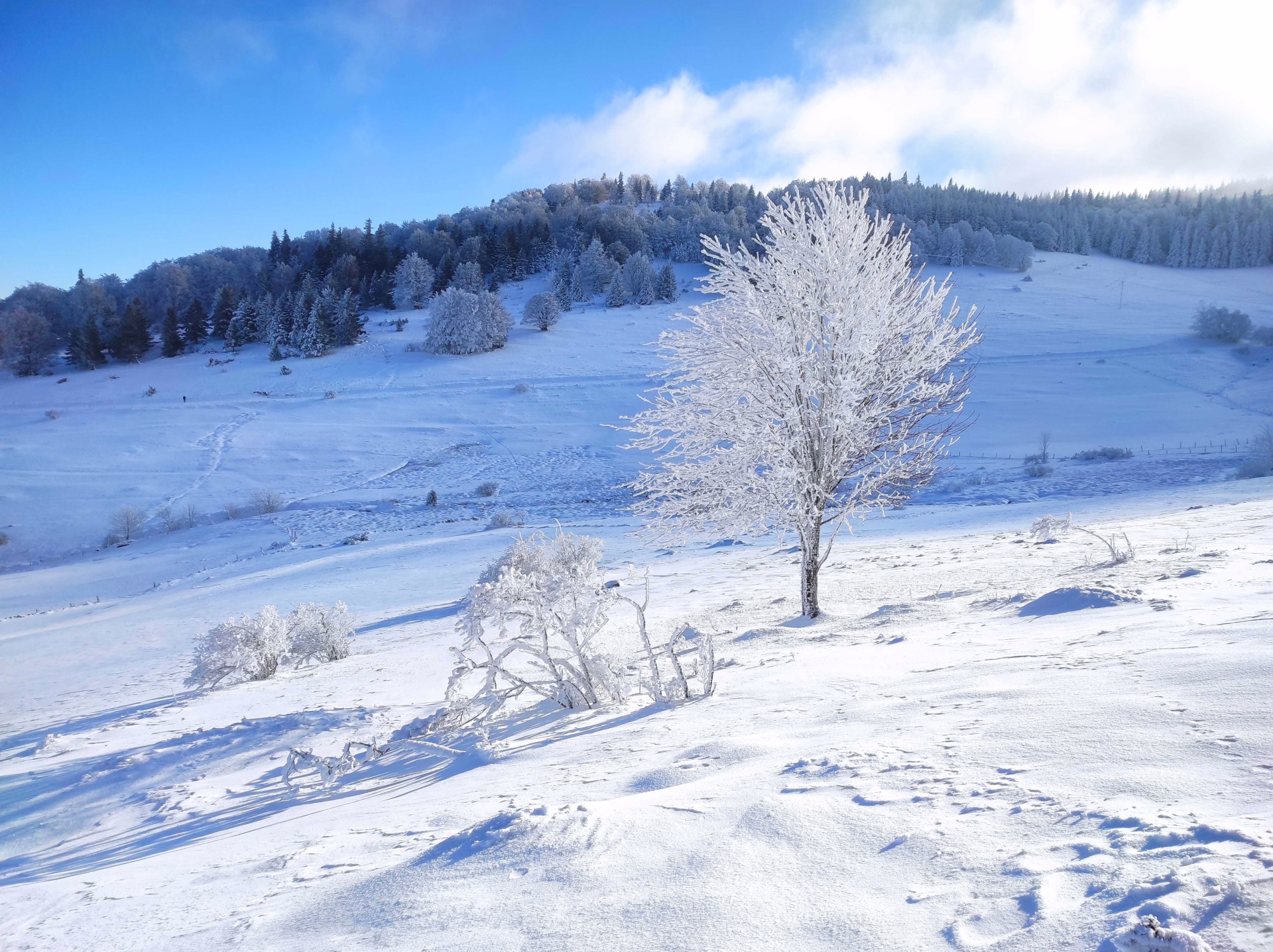 Raquettes à neige dans les Vosges
