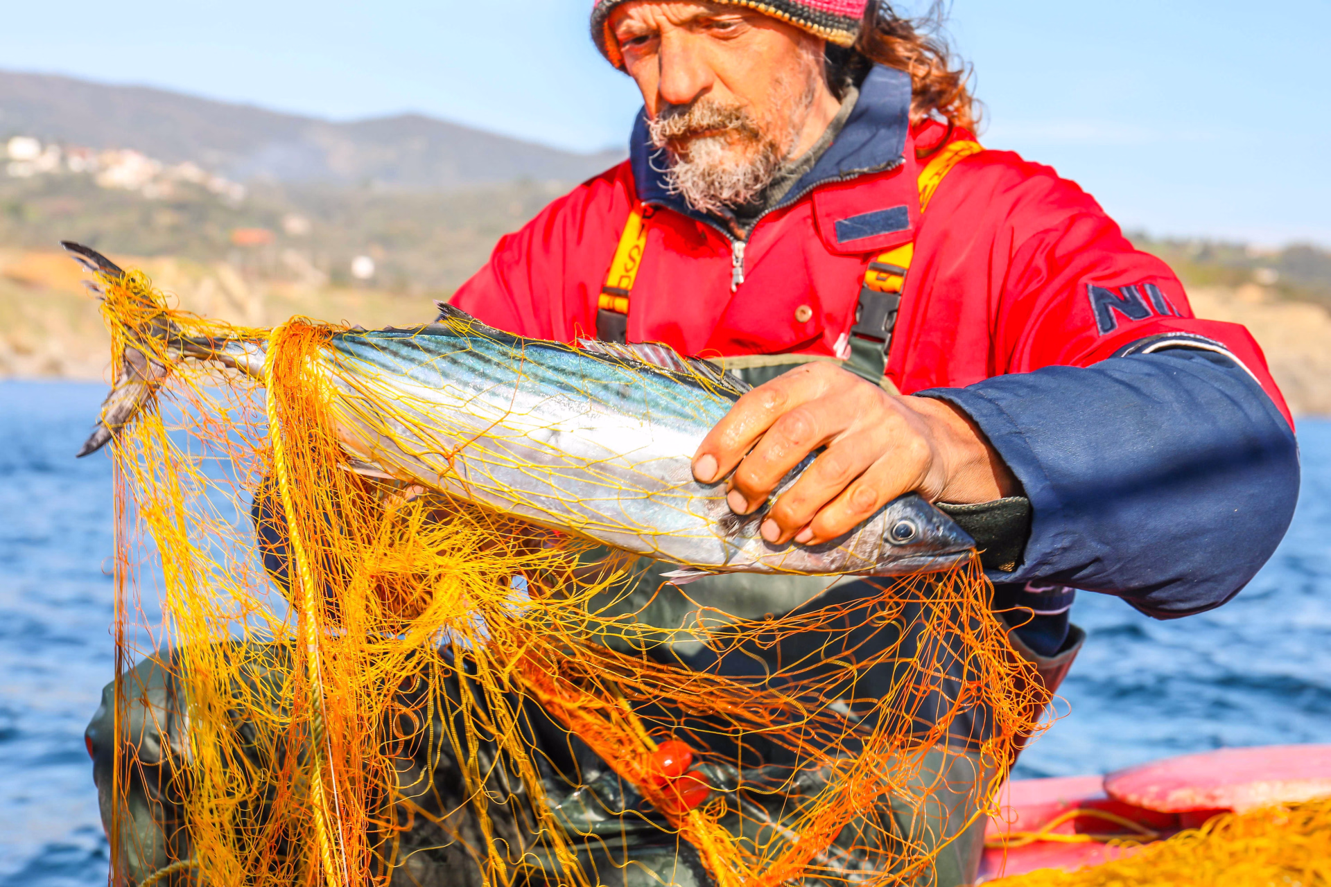 Pêche et gastronomie, voyage cyclades