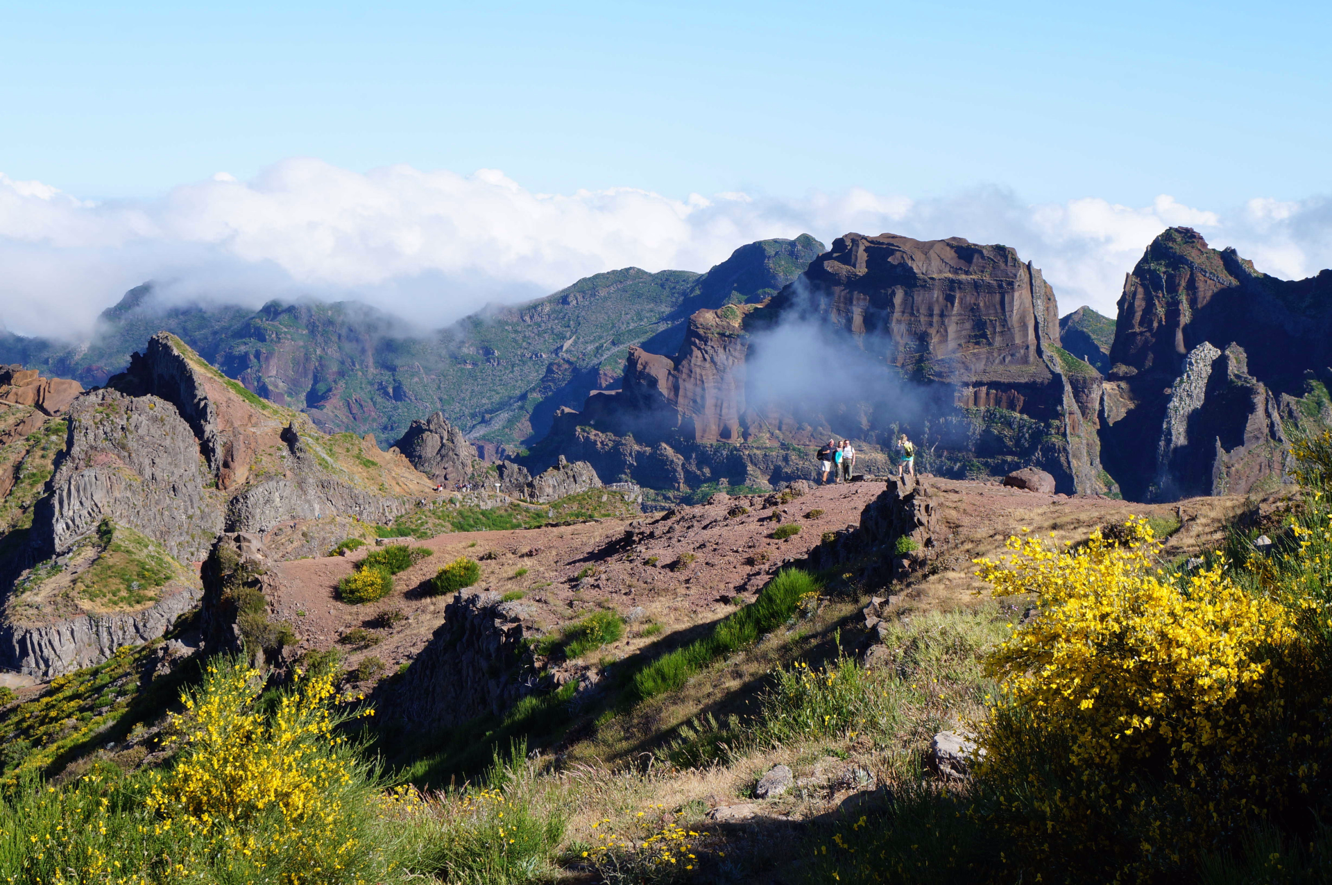 Picos à Madère