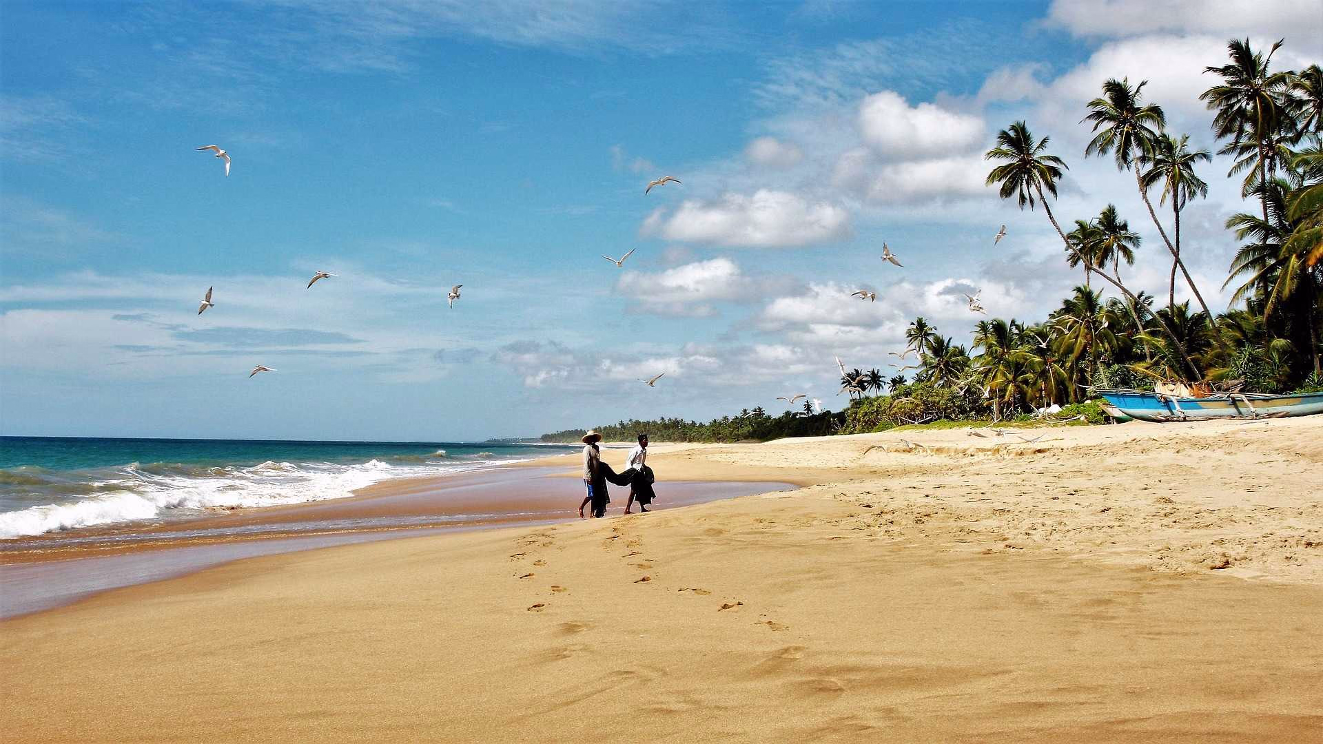 Plage au Sri Lanka
