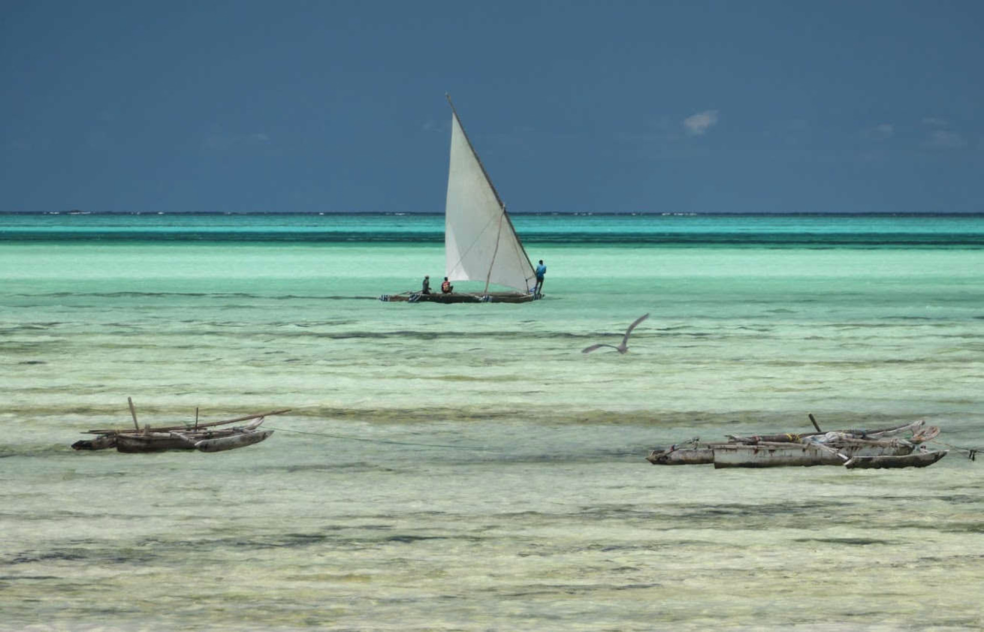 Plages et boutre à Zanzibar