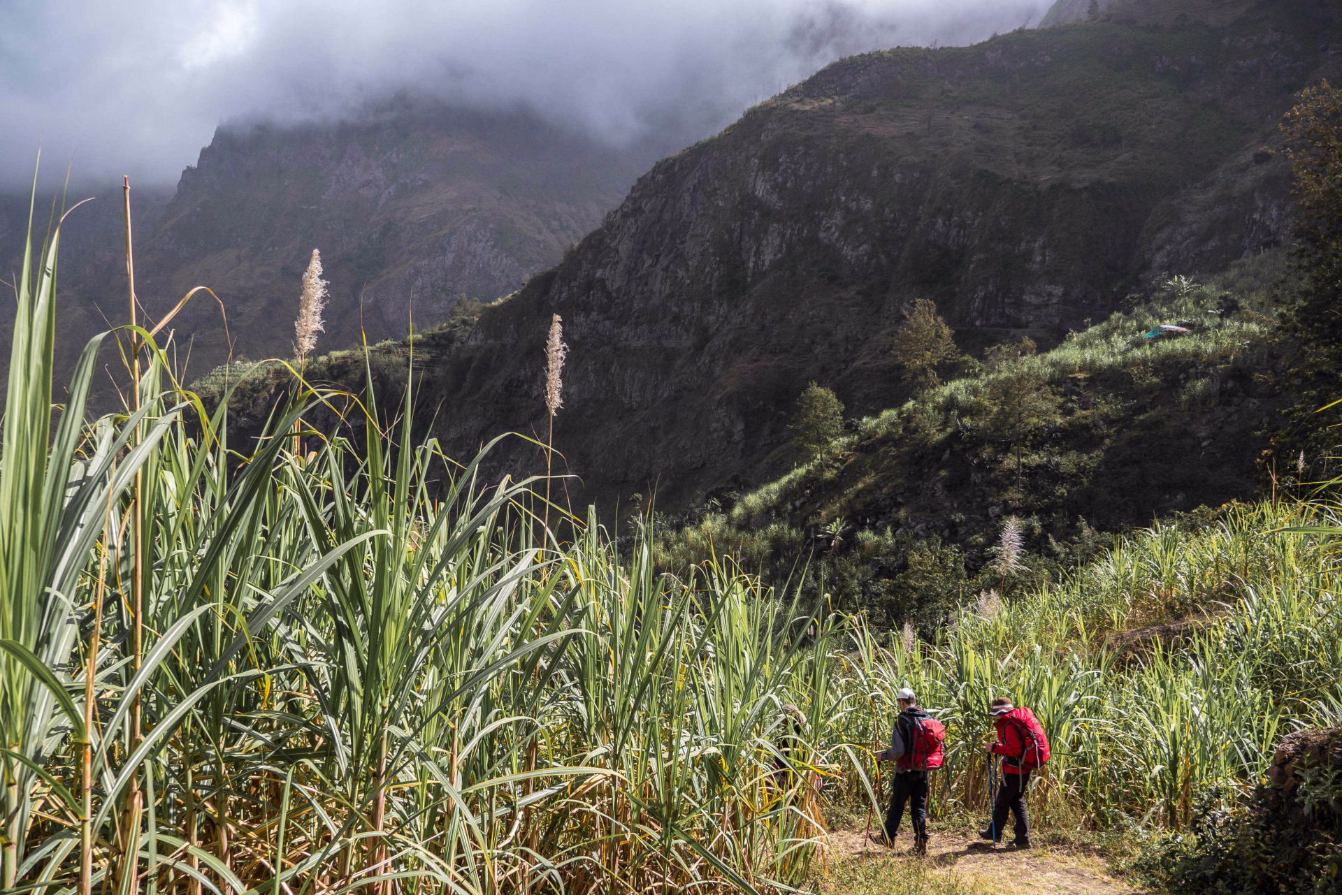 Plongée dans les vallées secrètes de Santo Antao