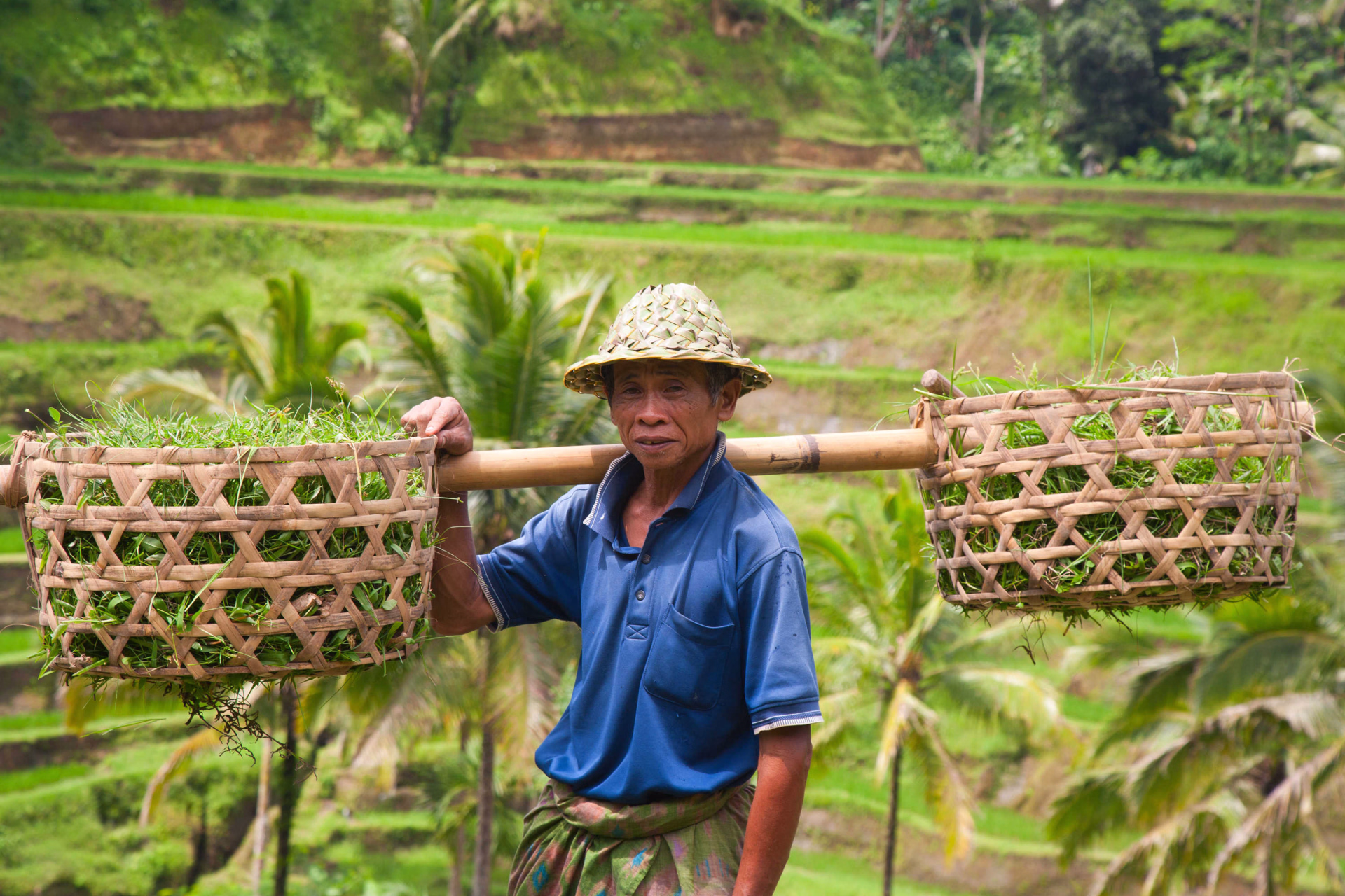 Portrait d'un paysan balinais