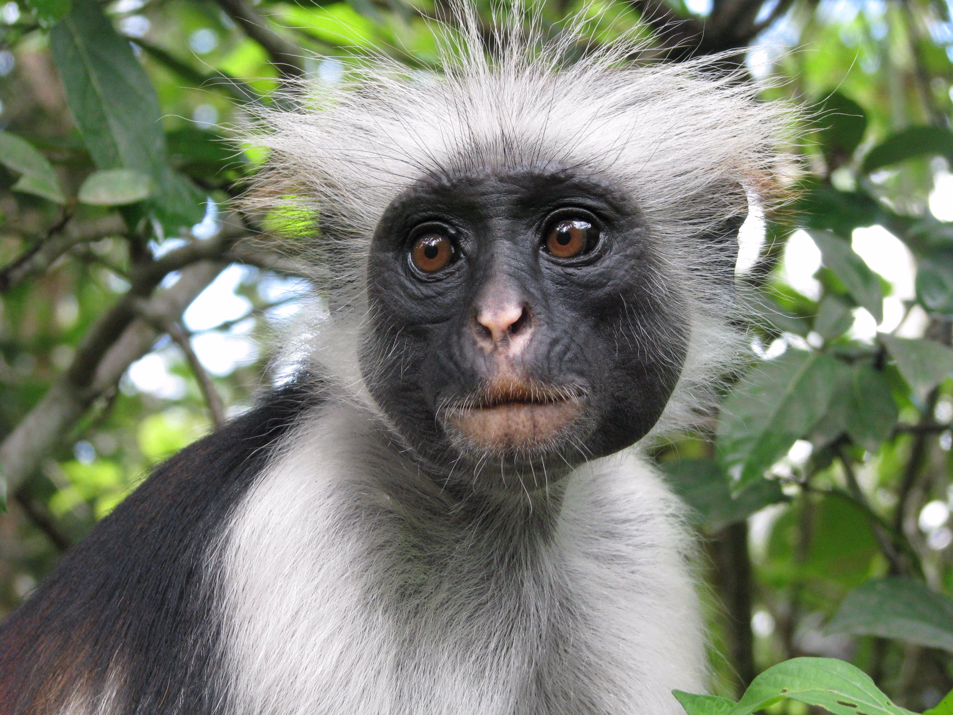 Safari et découverte de Zanzibar en famille !