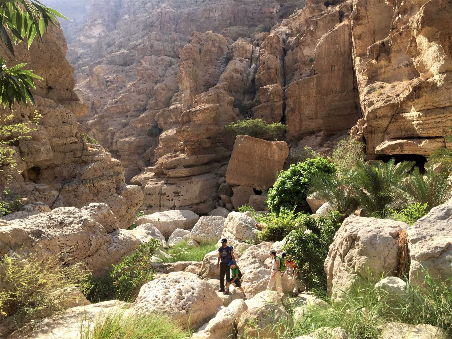 Rando canyon, Oman