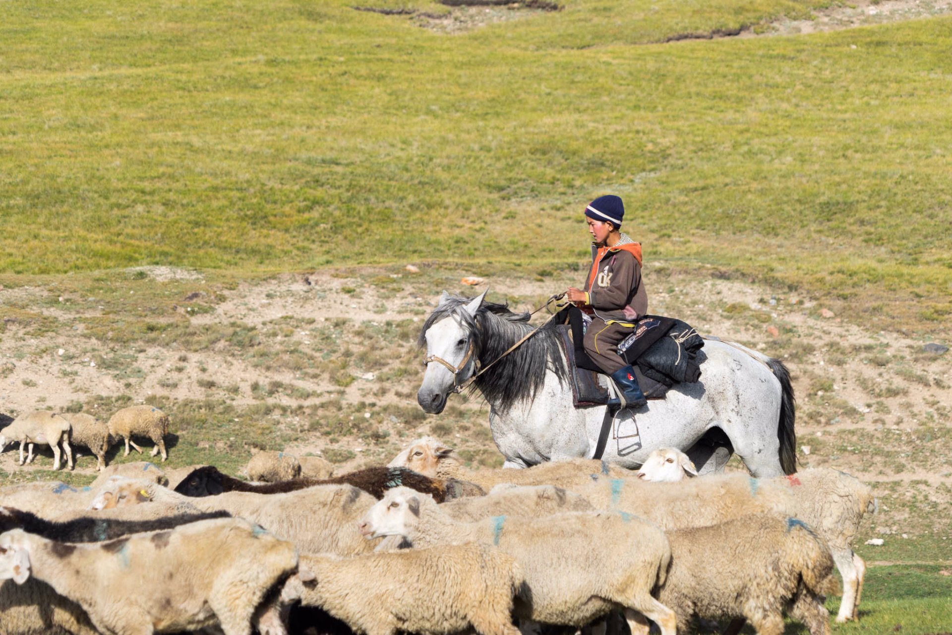 Randonnée à cheval en Kirghizie