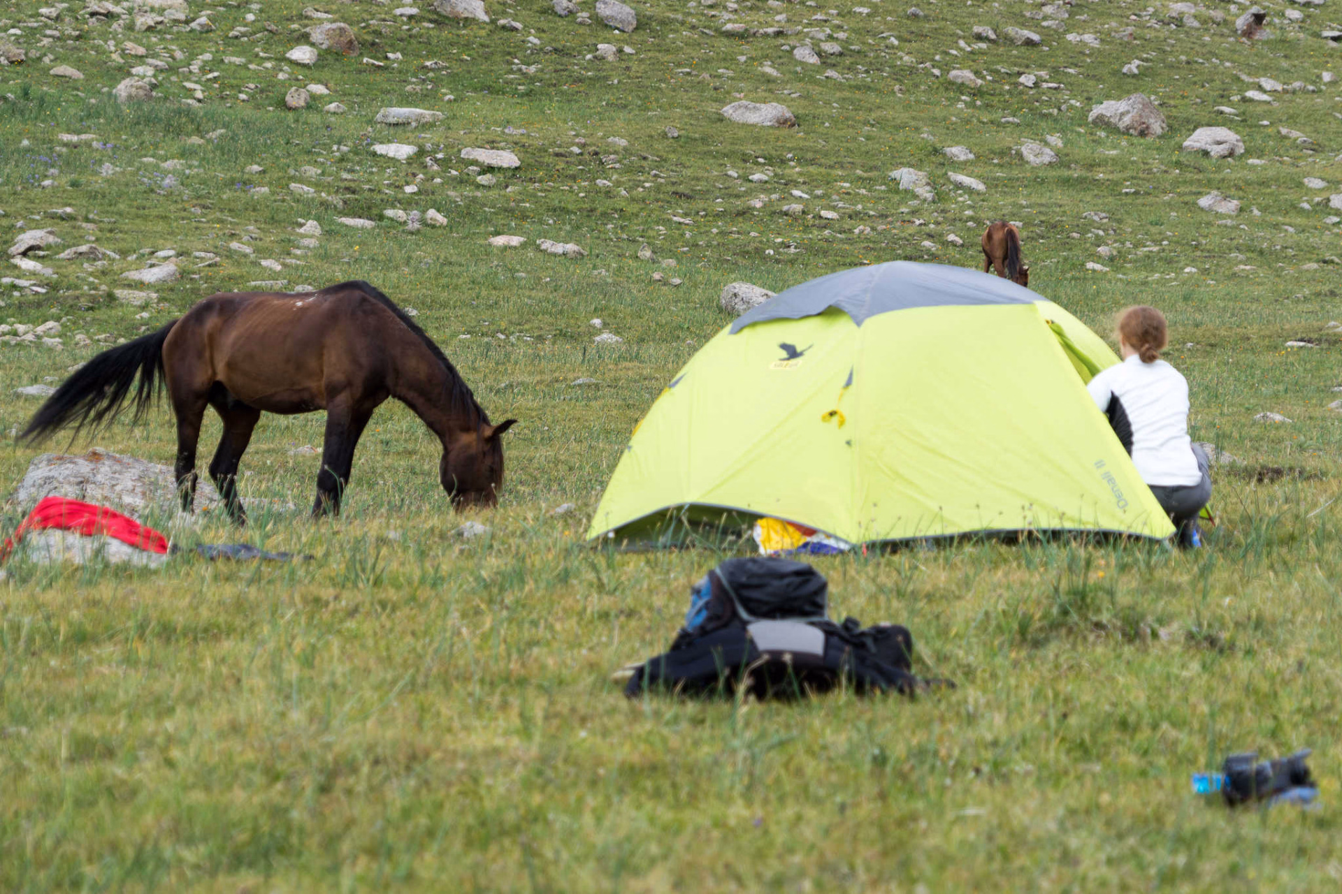 Randonnée à cheval en Kirghizie