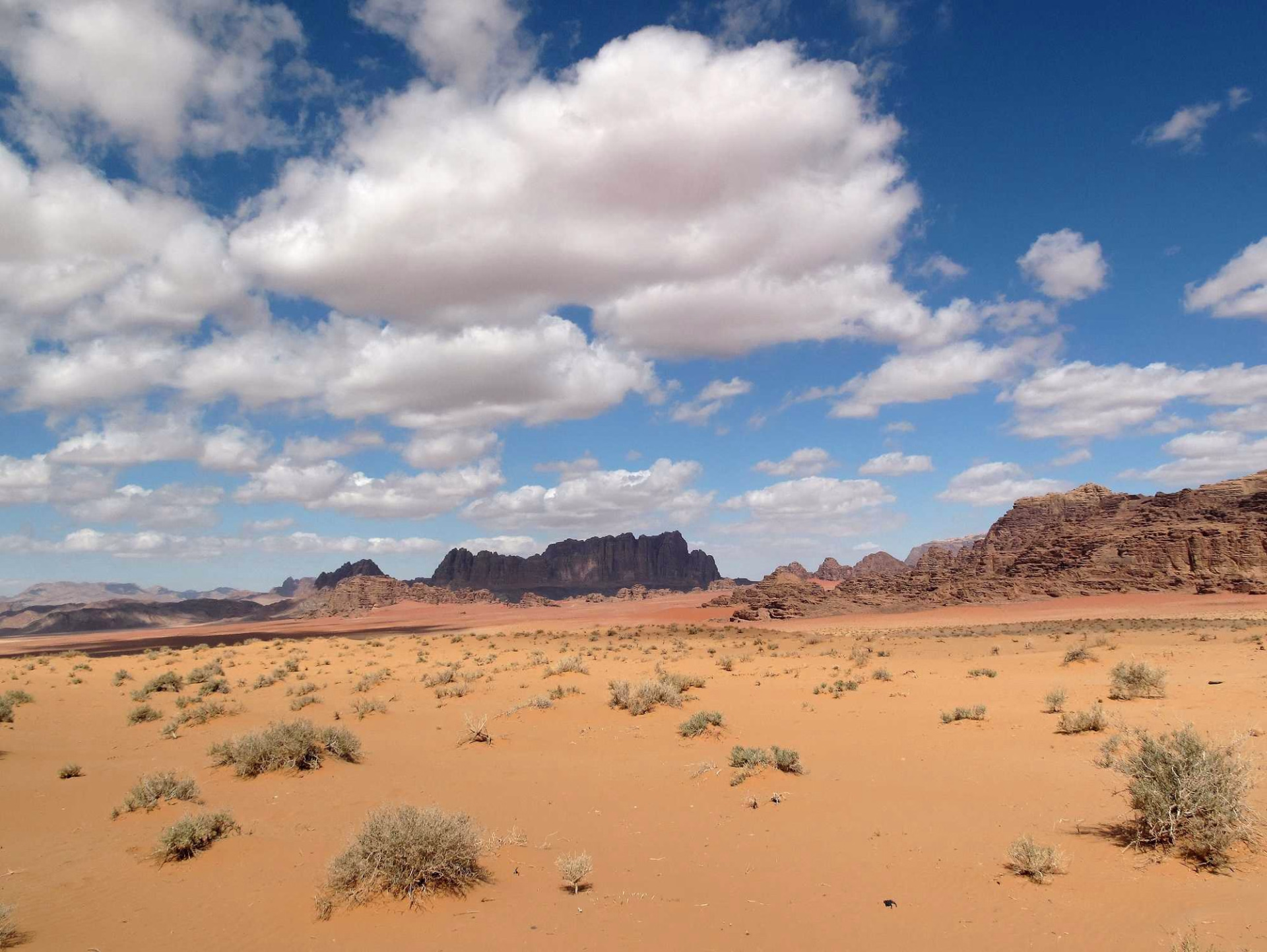 Randonnée à cheval Jordanie et Wadi Rum